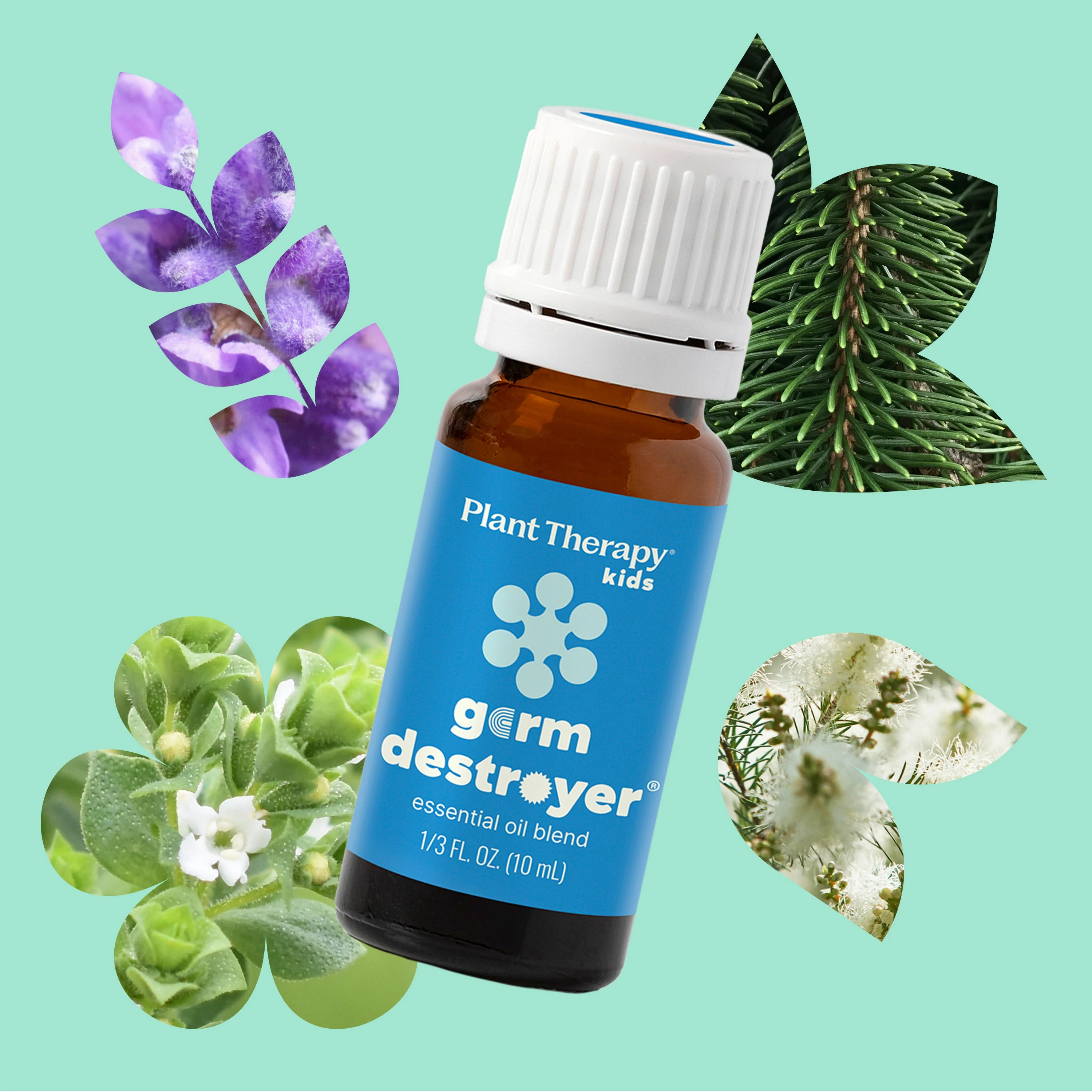 Germ Destroyer Essential Oil - Image 3