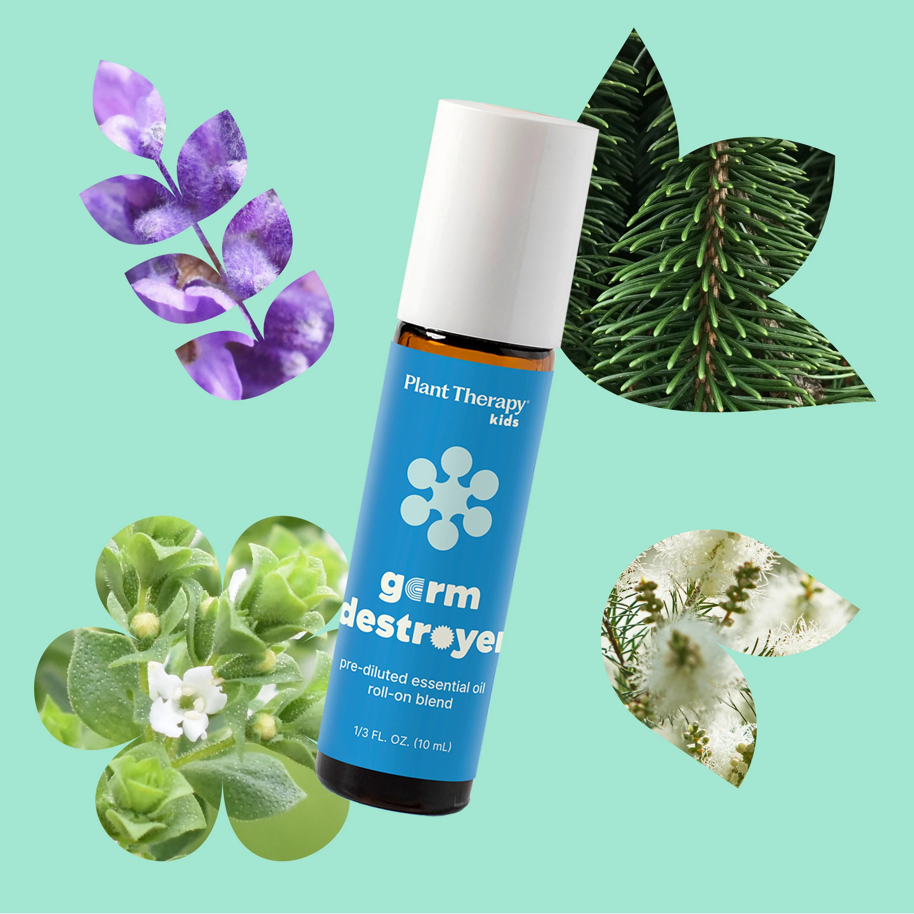 Germ Destroyer Essential Oil Pre-Diluted Roll-On - Image 2