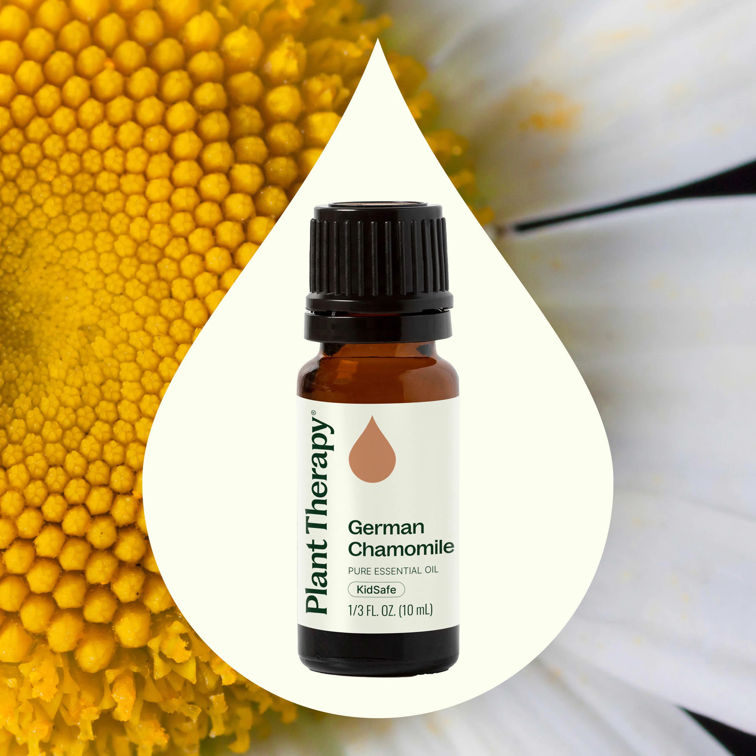German Chamomile Essential Oil - Image 2