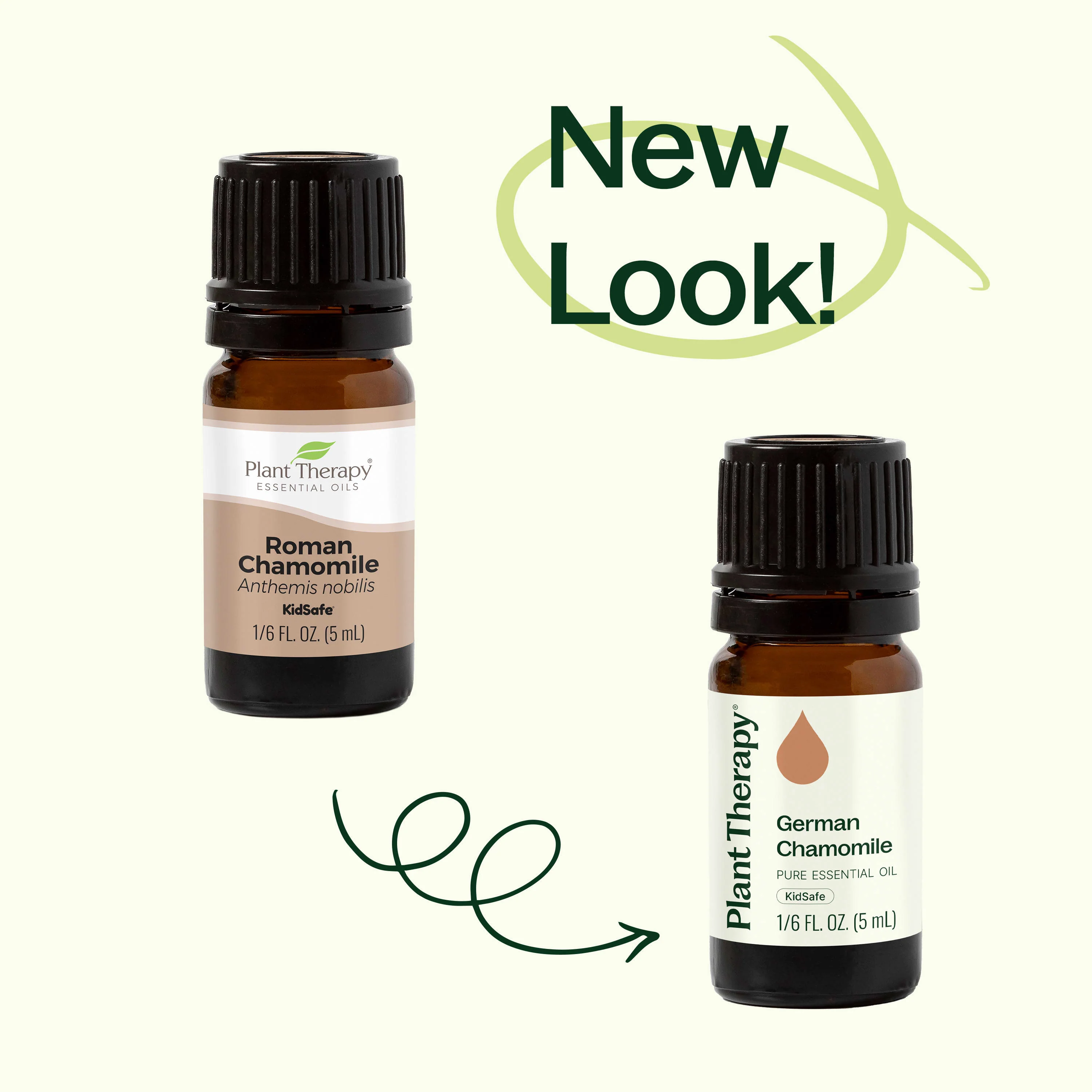 German Chamomile Essential Oil - Image 4