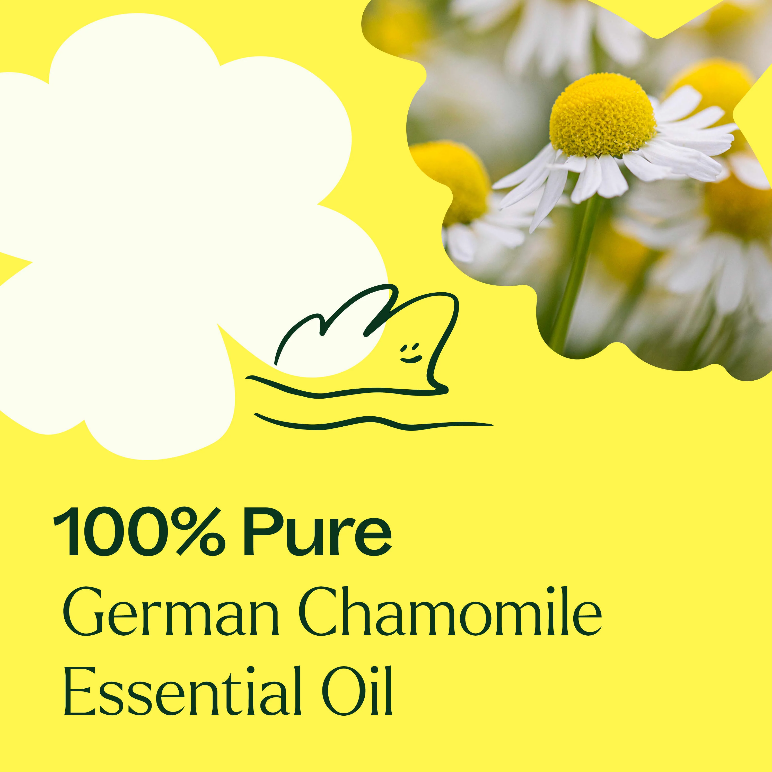 German Chamomile Essential Oil - Image 5