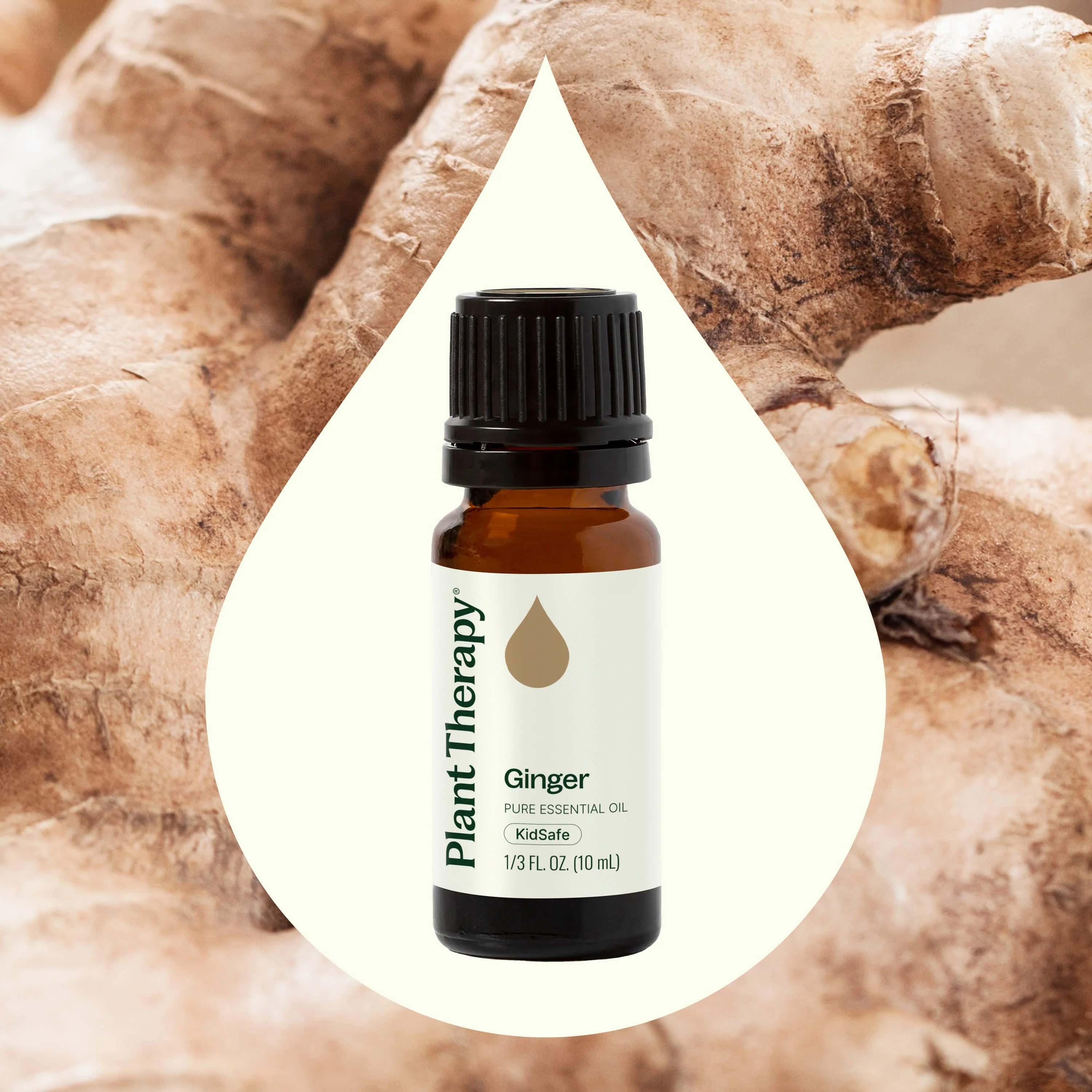 Ginger Essential Oil - Image 2