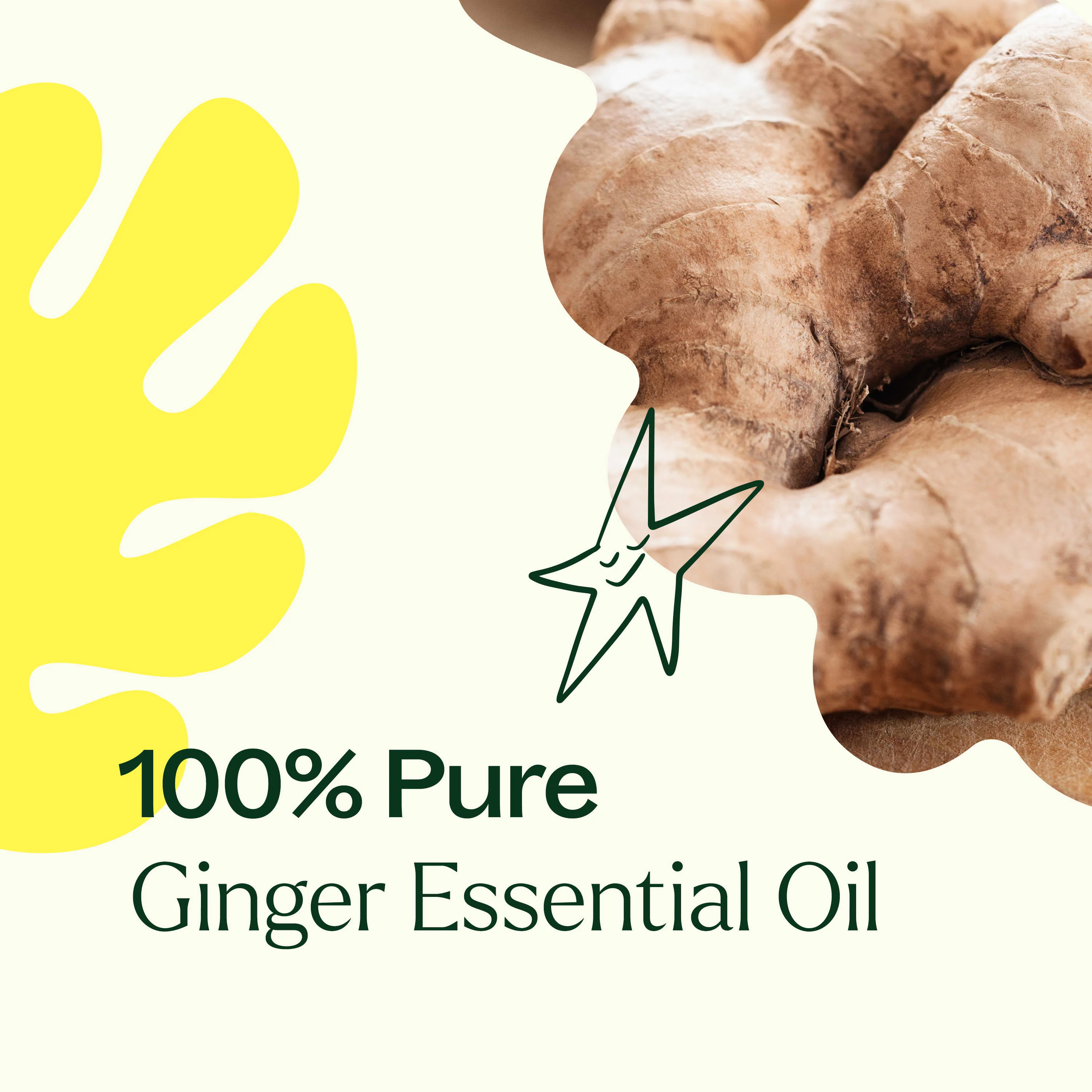 Ginger Essential Oil - Image 3