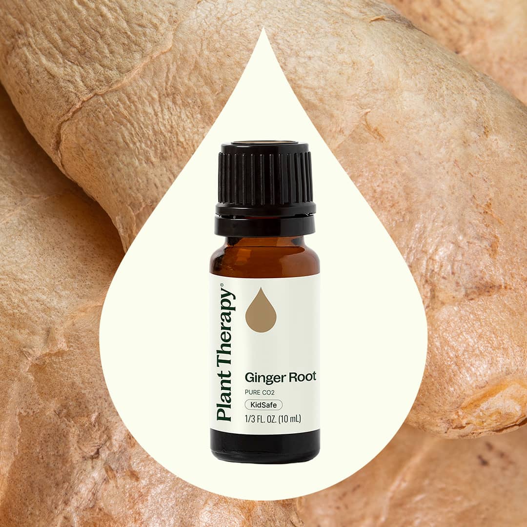 Ginger Root CO2 Extract - Image 2