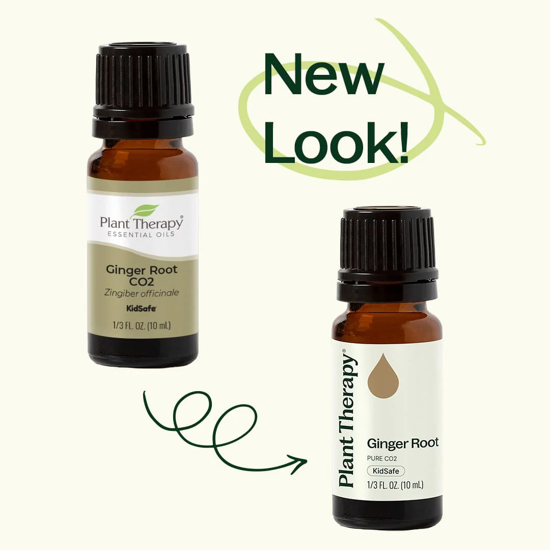 Ginger Root CO2 Extract - Image 3
