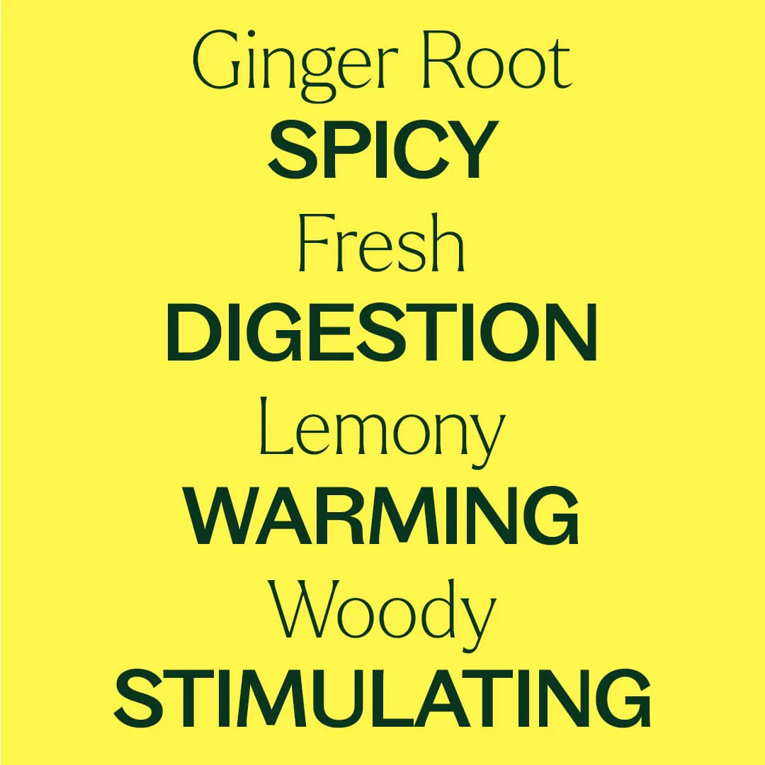 Ginger Root CO2 Extract - Image 6