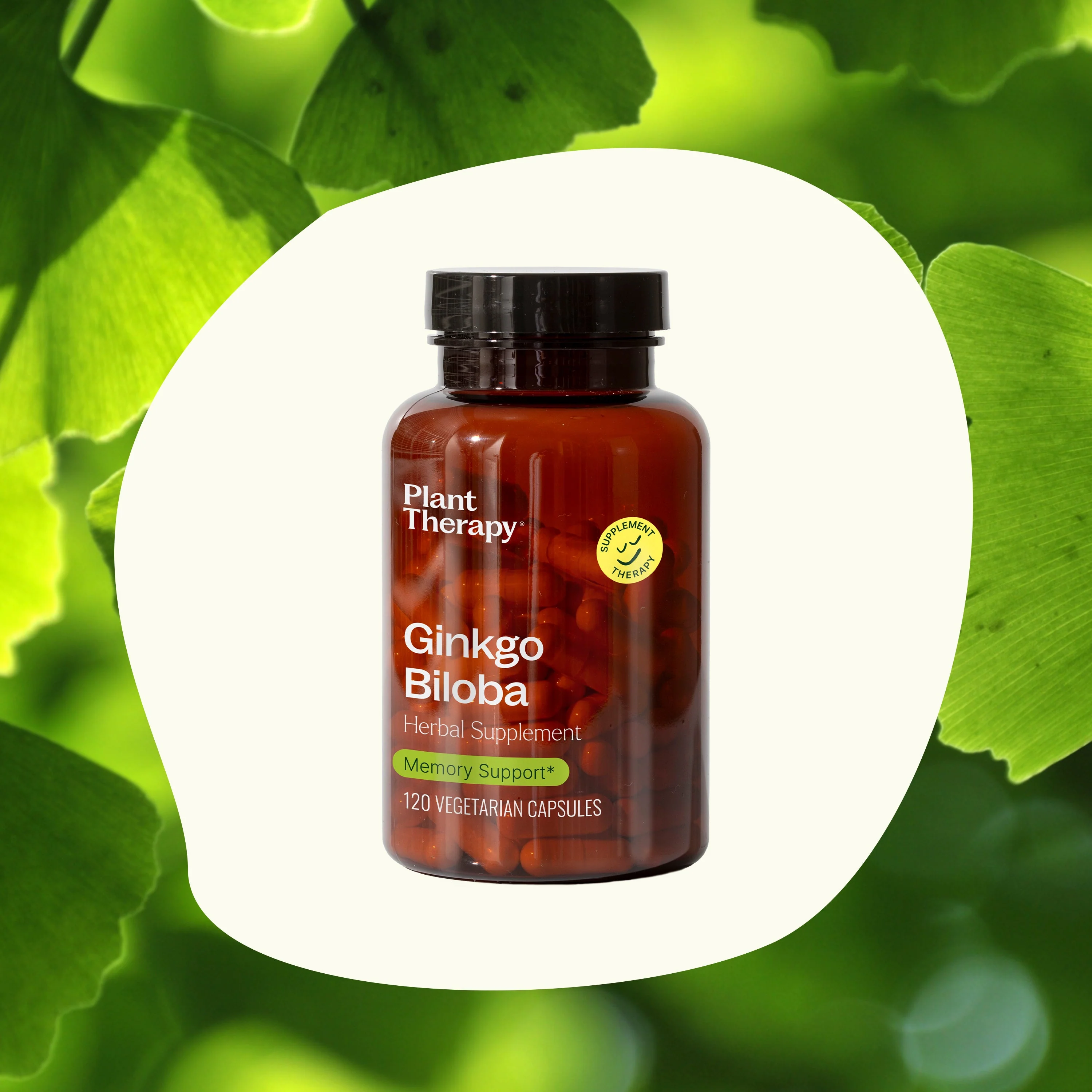 Ginkgo Biloba Herbal Supplement - 120 Capsules - Image 6