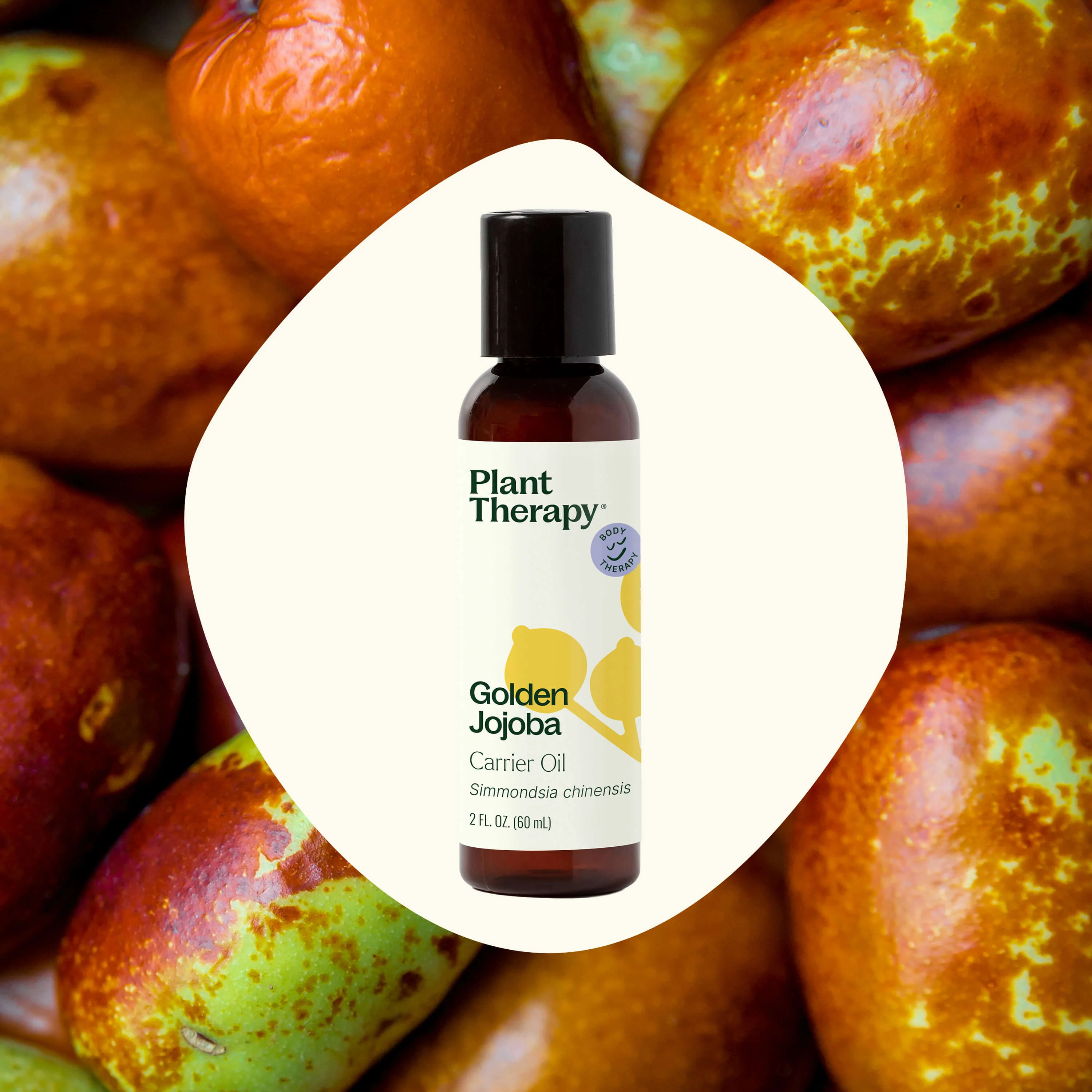 Golden Jojoba Carrier Oil - Image 2