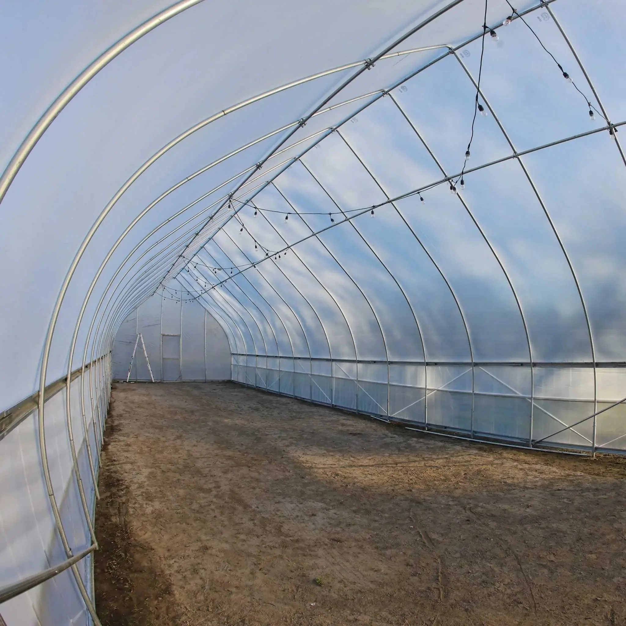 Gothic All-Metal Hoop House Kit - Image 10