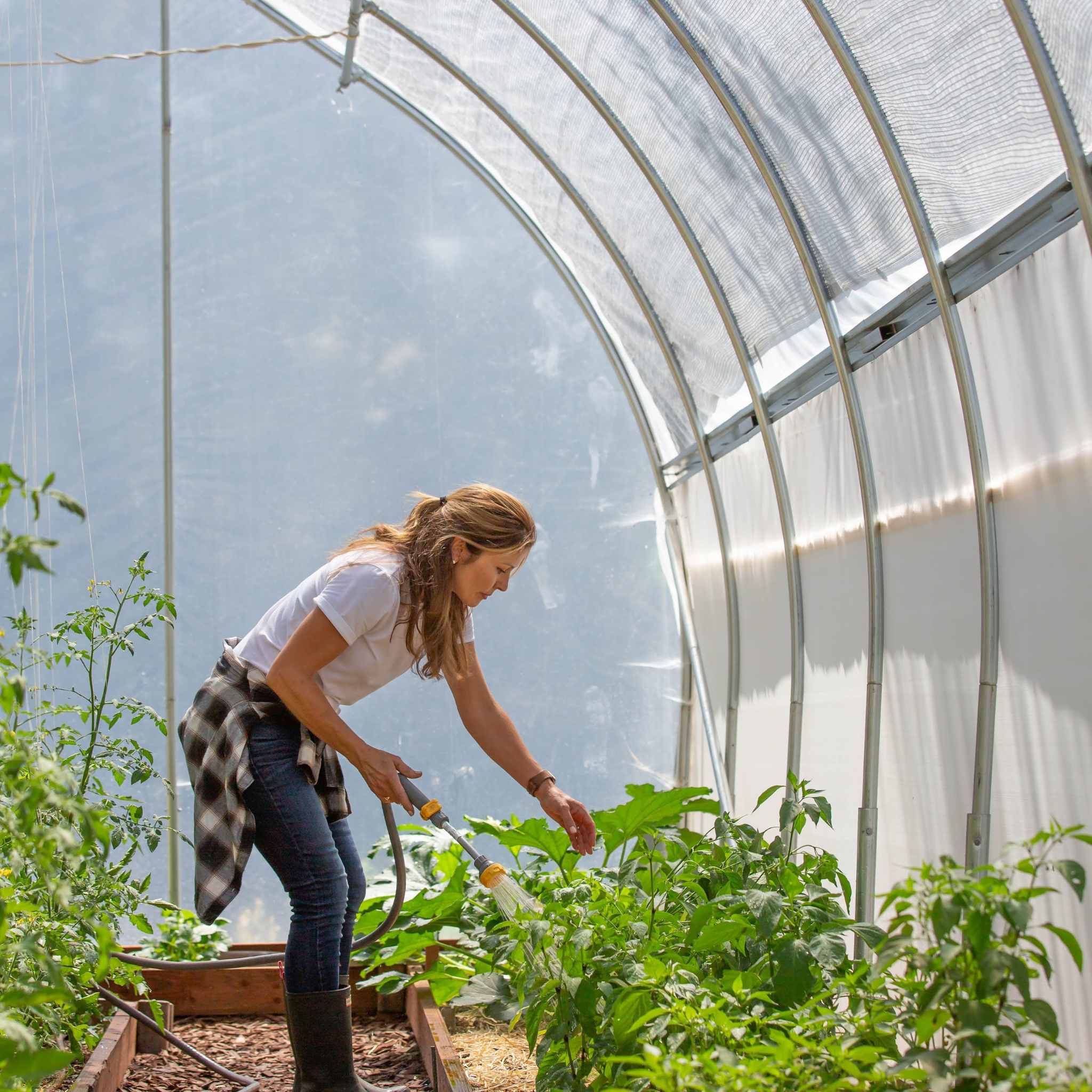 Gothic All-Metal Hoop House Kit - Image 4