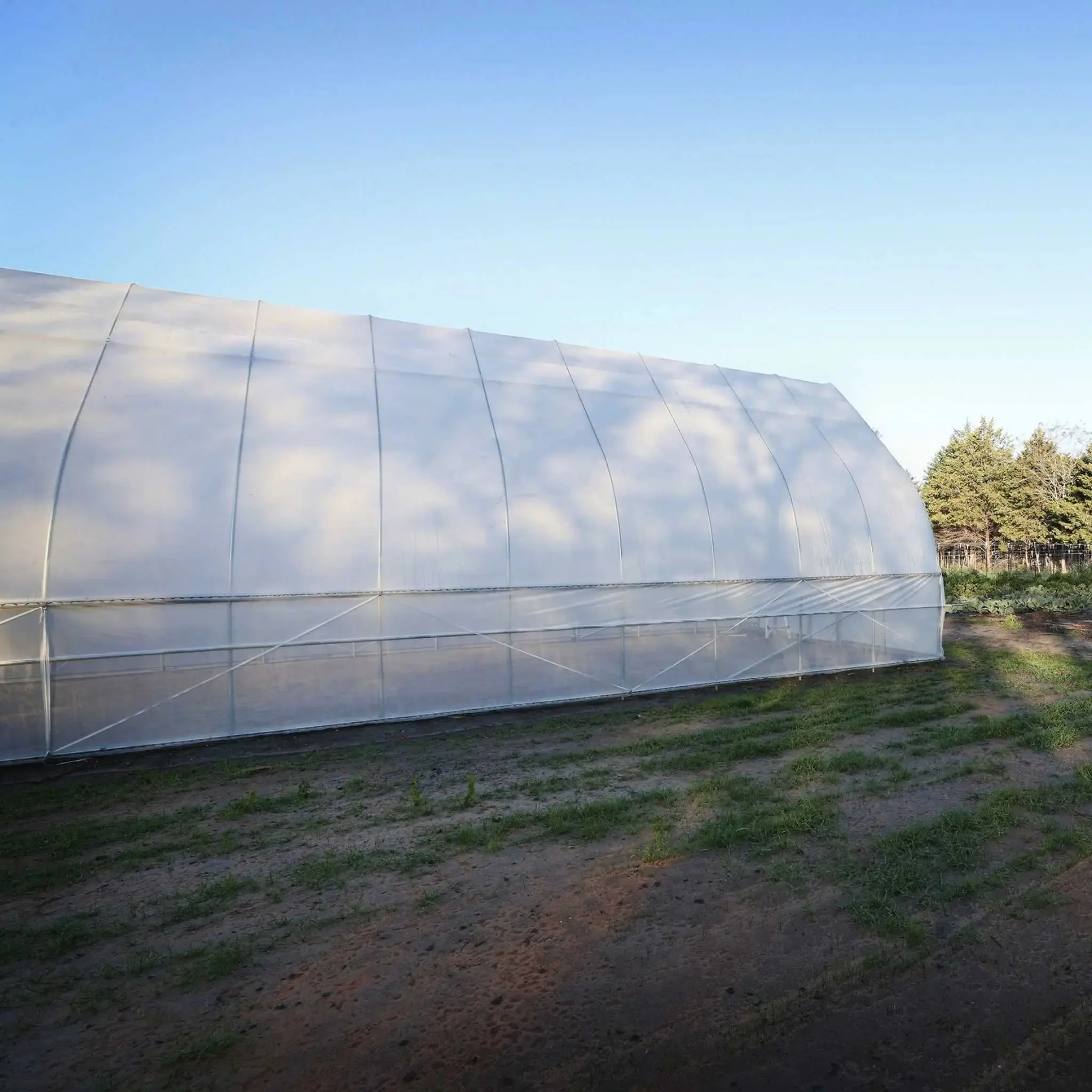 Gothic All-Metal Hoop House Kit - Image 9