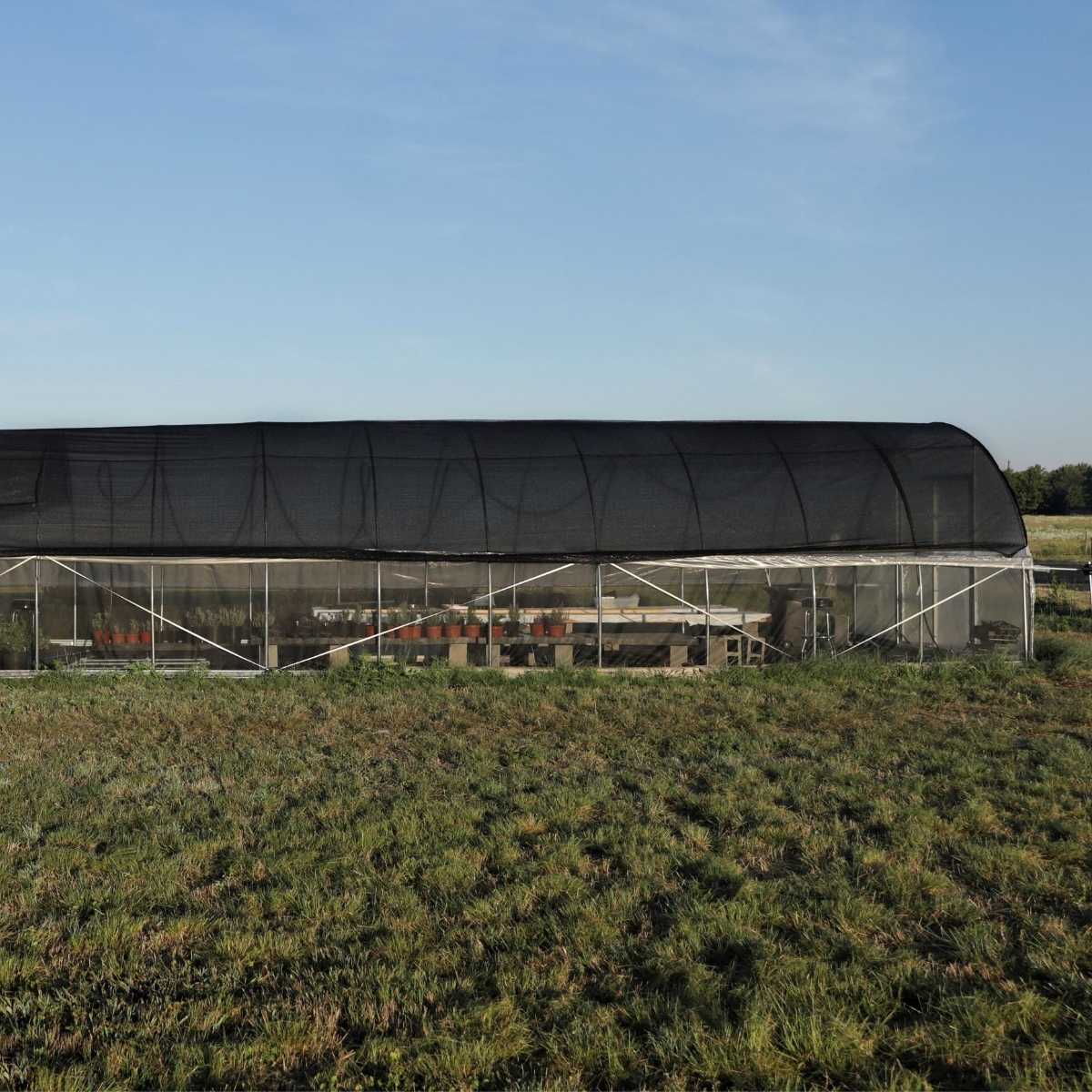 Greenhouse Shade Cloth - 50% Black - Image 5