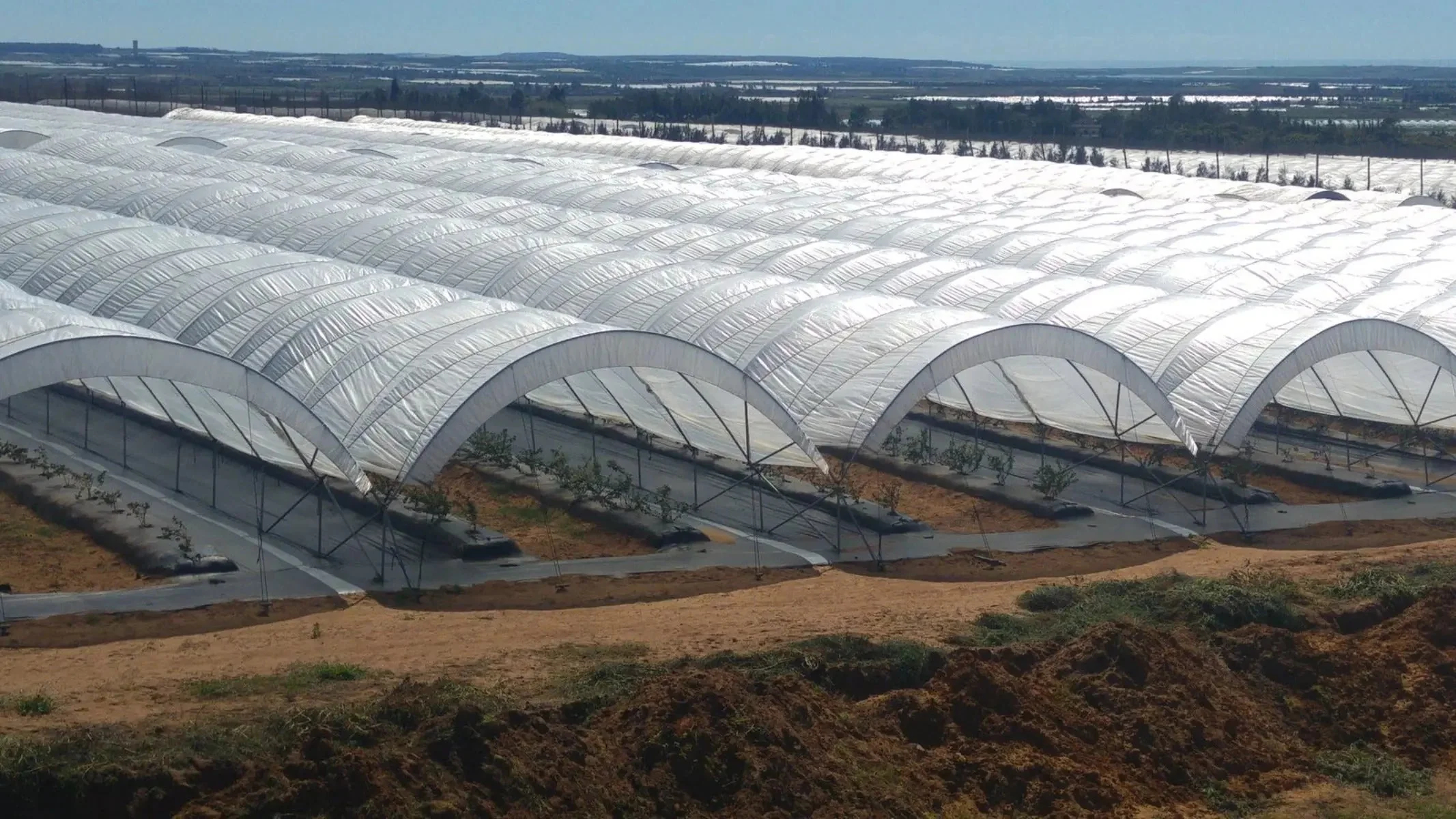 Greenhouse Woven Plastic 11 mil- Solarig 182 - Image 7
