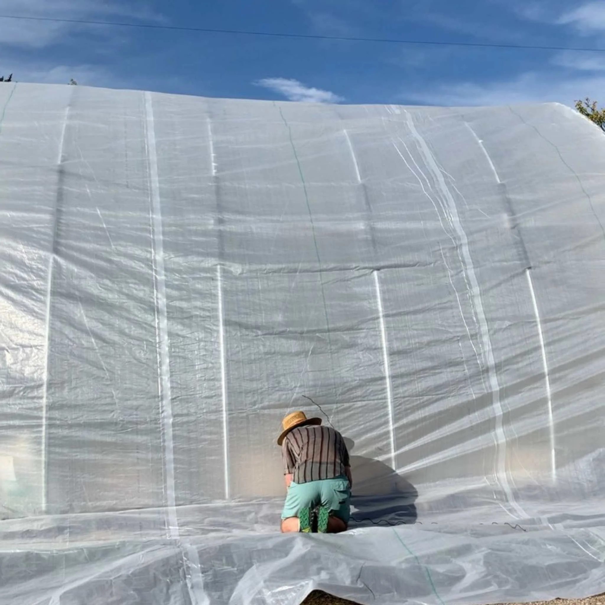 Greenhouse Woven Plastic 8 mil- Solarig 156 - Image 2