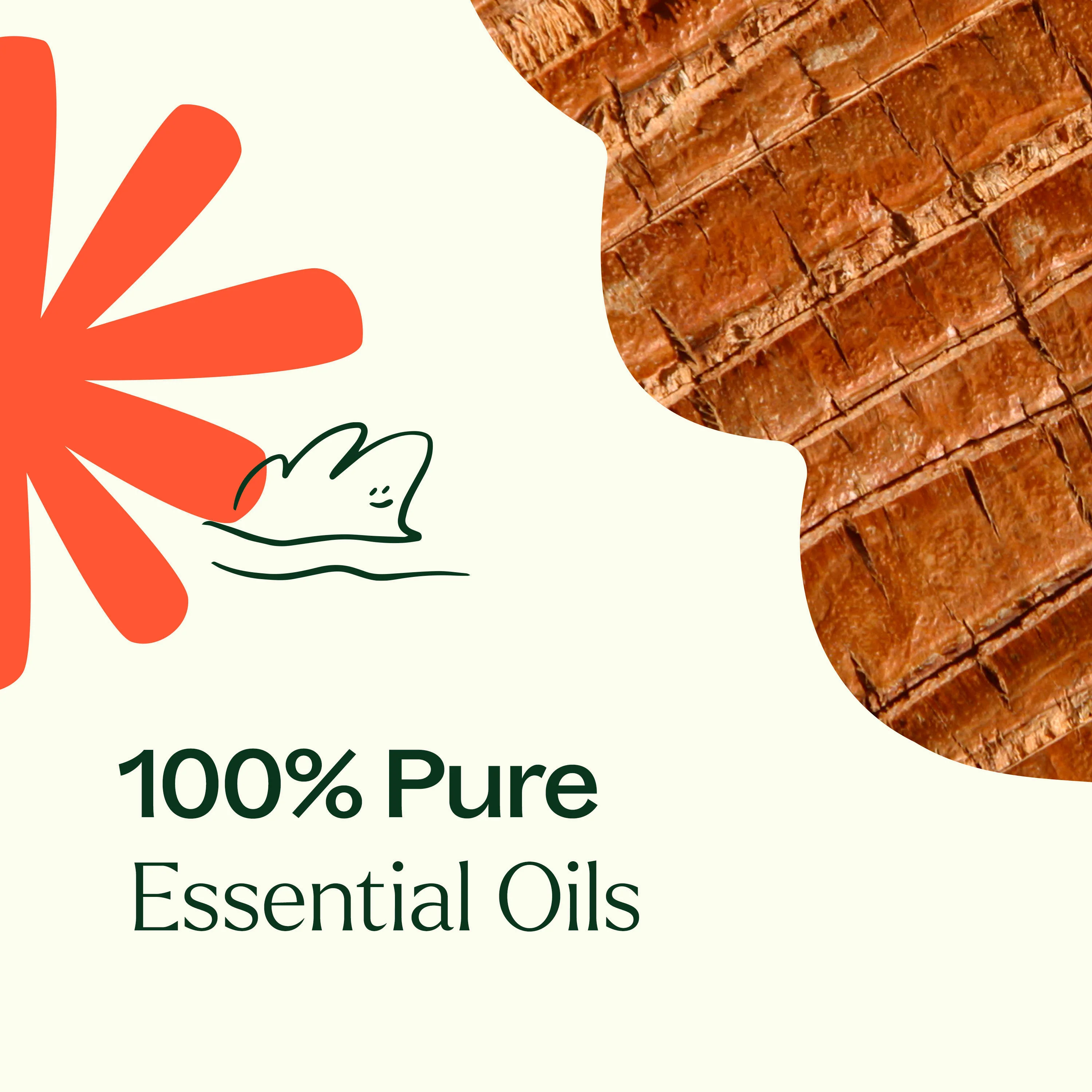Grounded Foundation (Root Chakra) Essential Oil - Image 4