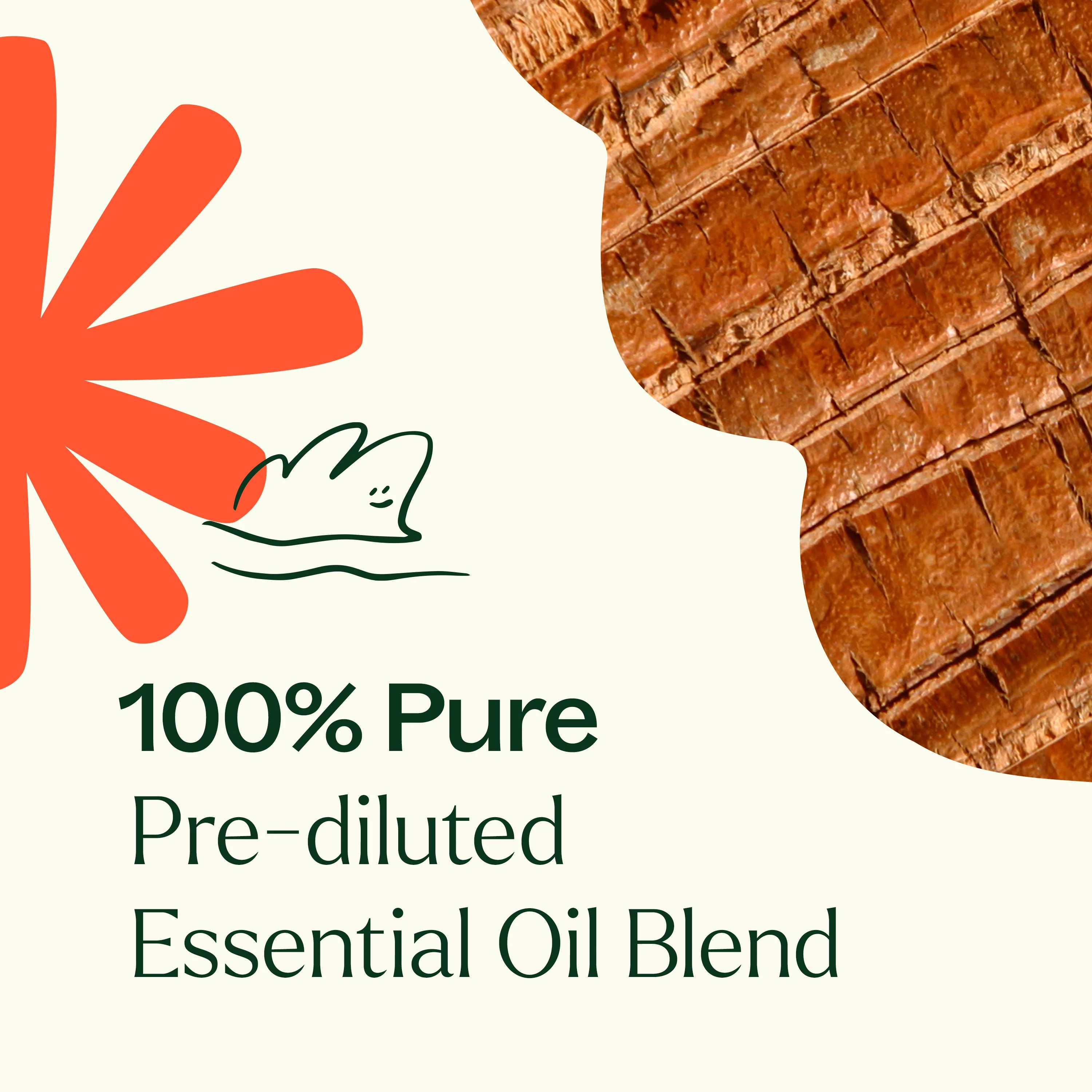 Grounded Foundation (Root Chakra) Essential Oil Pre-Diluted Roll-On - Image 6