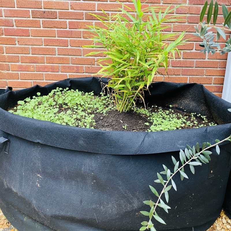 Grow Bags - 200 Gallon - Image 3
