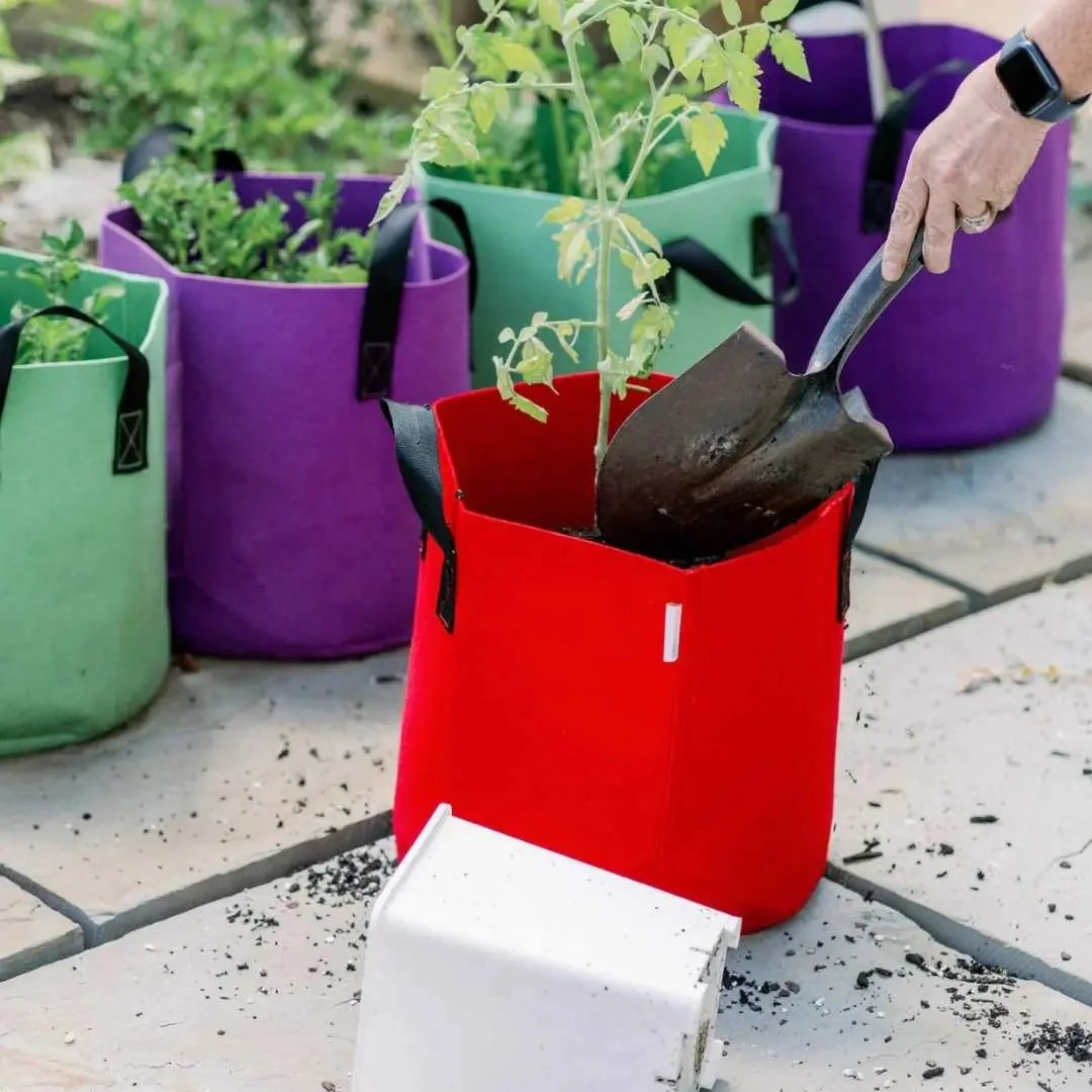Grow Bags - 7 Gallon Colored Fabric Pots - Image 10