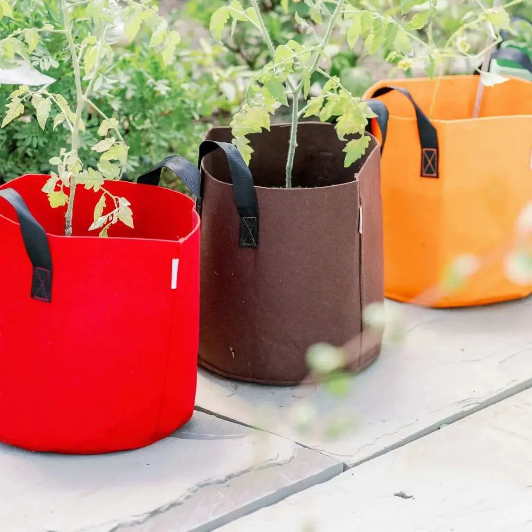Grow Bags - 7 Gallon Colored Fabric Pots - Image 11