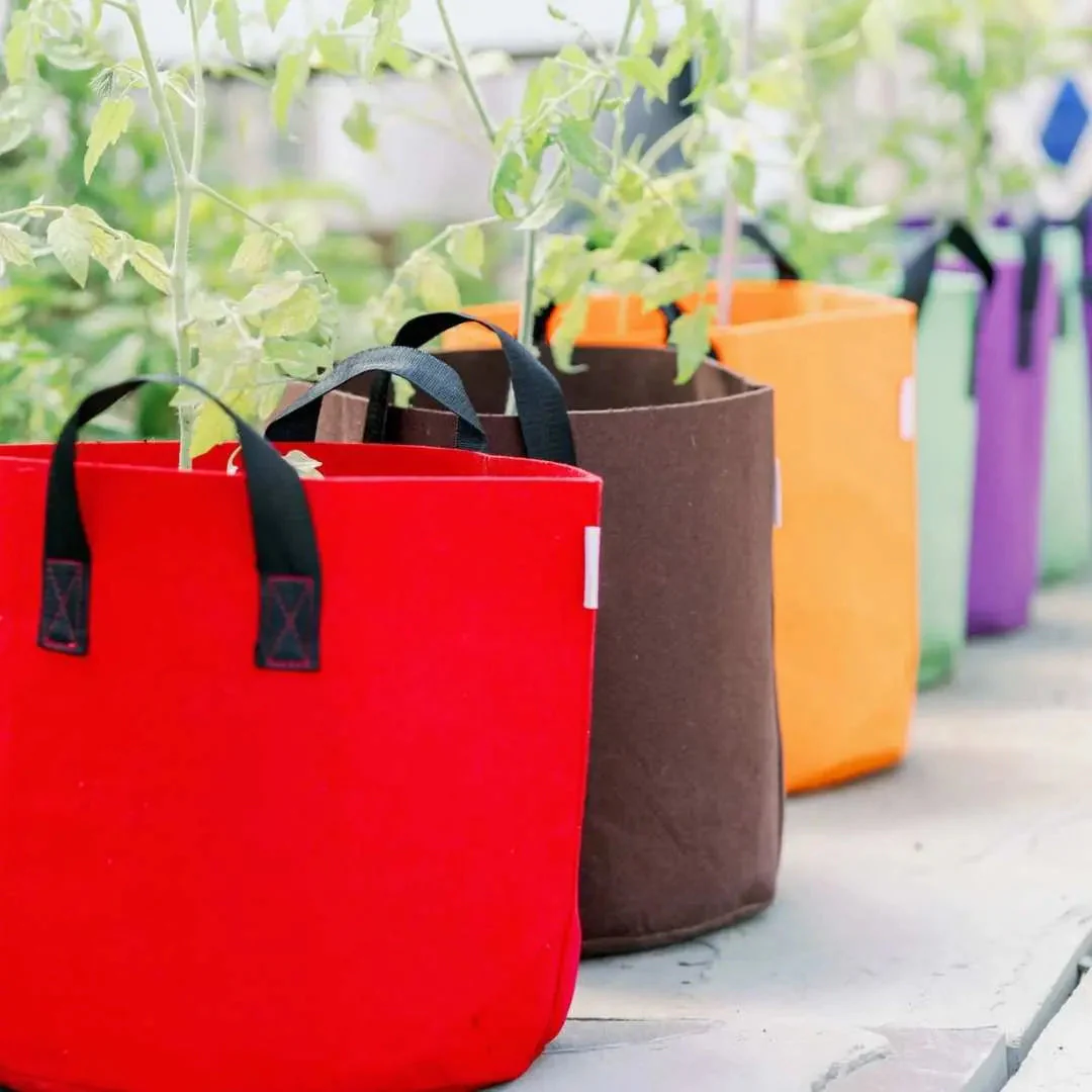 Grow Bags - 7 Gallon Colored Fabric Pots - Image 8