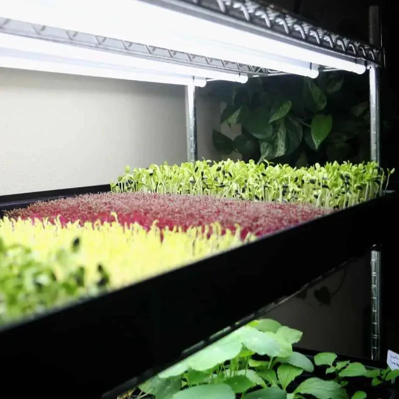 Grow Rack - Automated Vertical Propagation Rack - Image 3