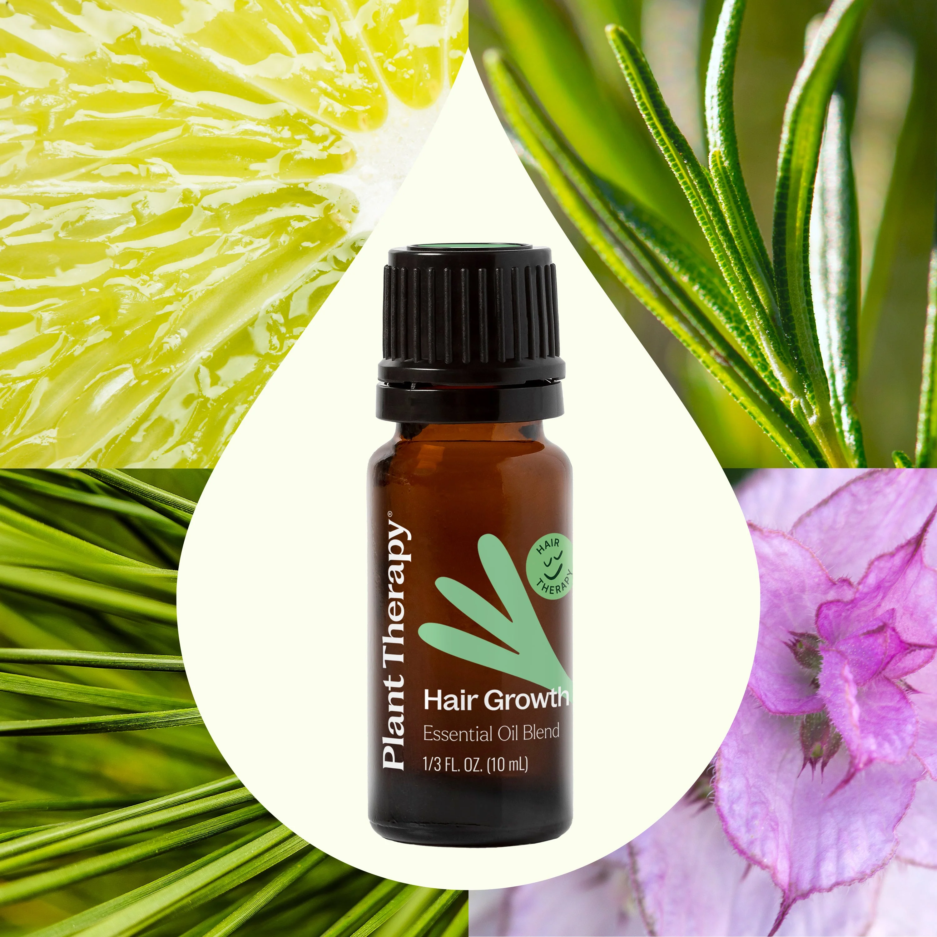 Hair Growth Essential Oil Blend - Image 2