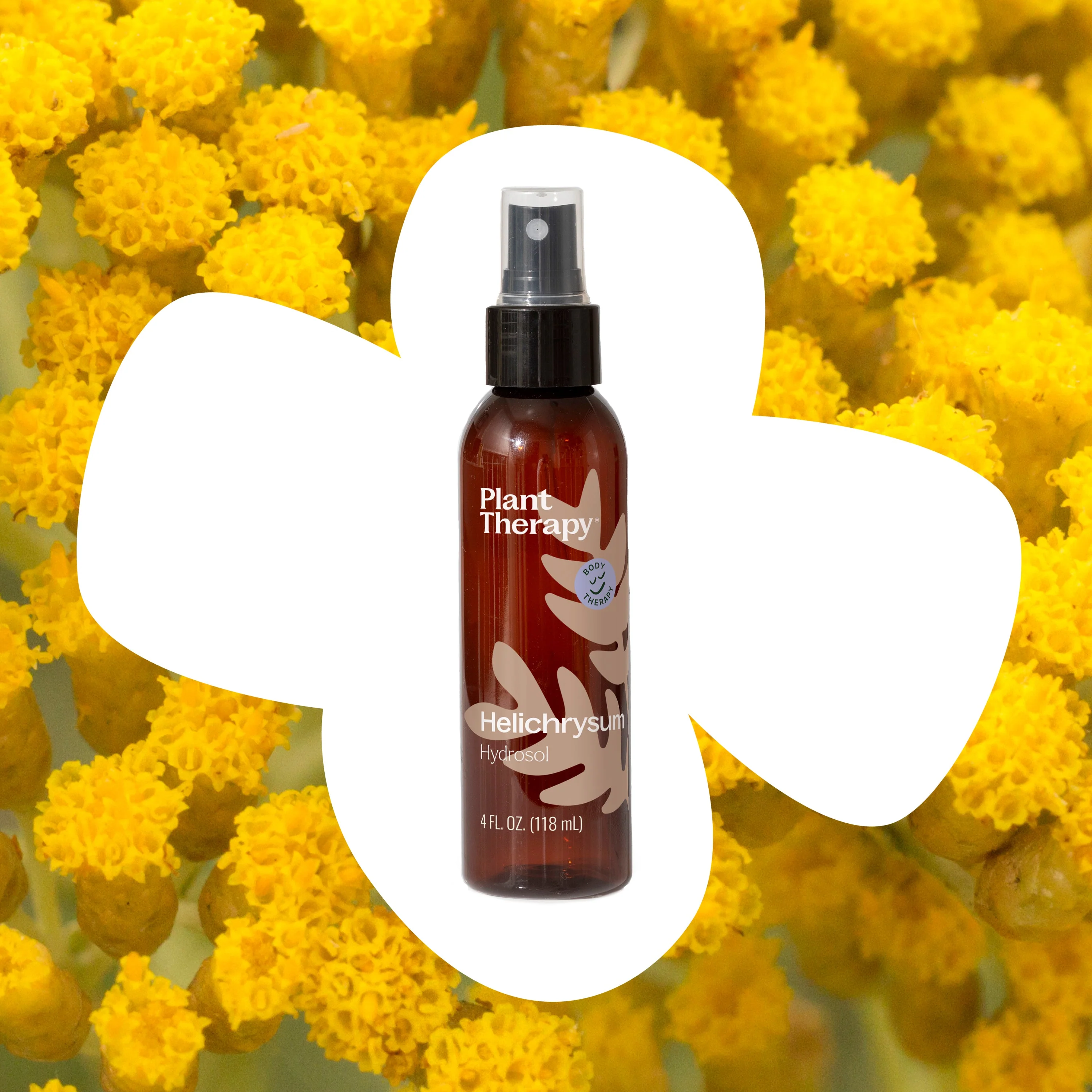 Helichrysum Hydrosol - Image 2