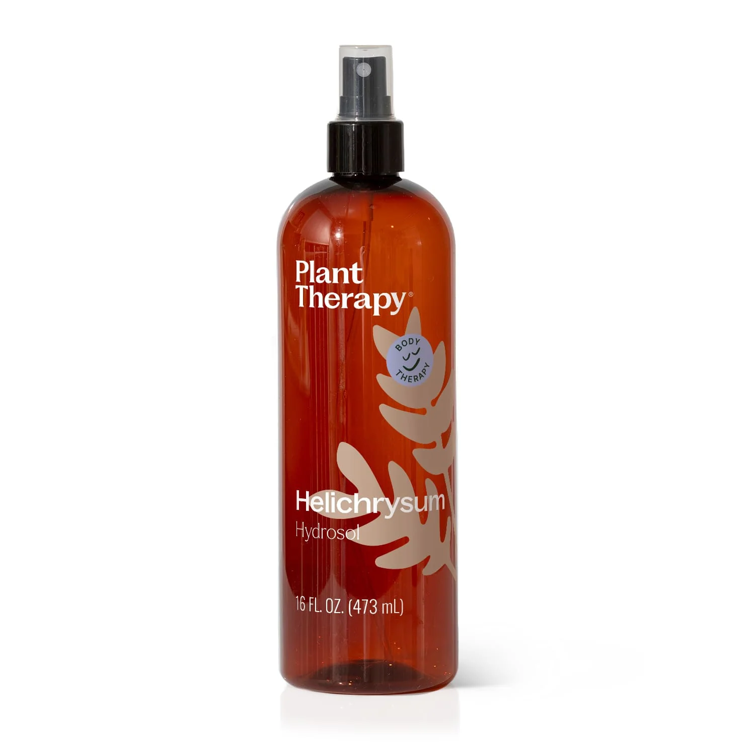 Helichrysum Hydrosol - Image 5