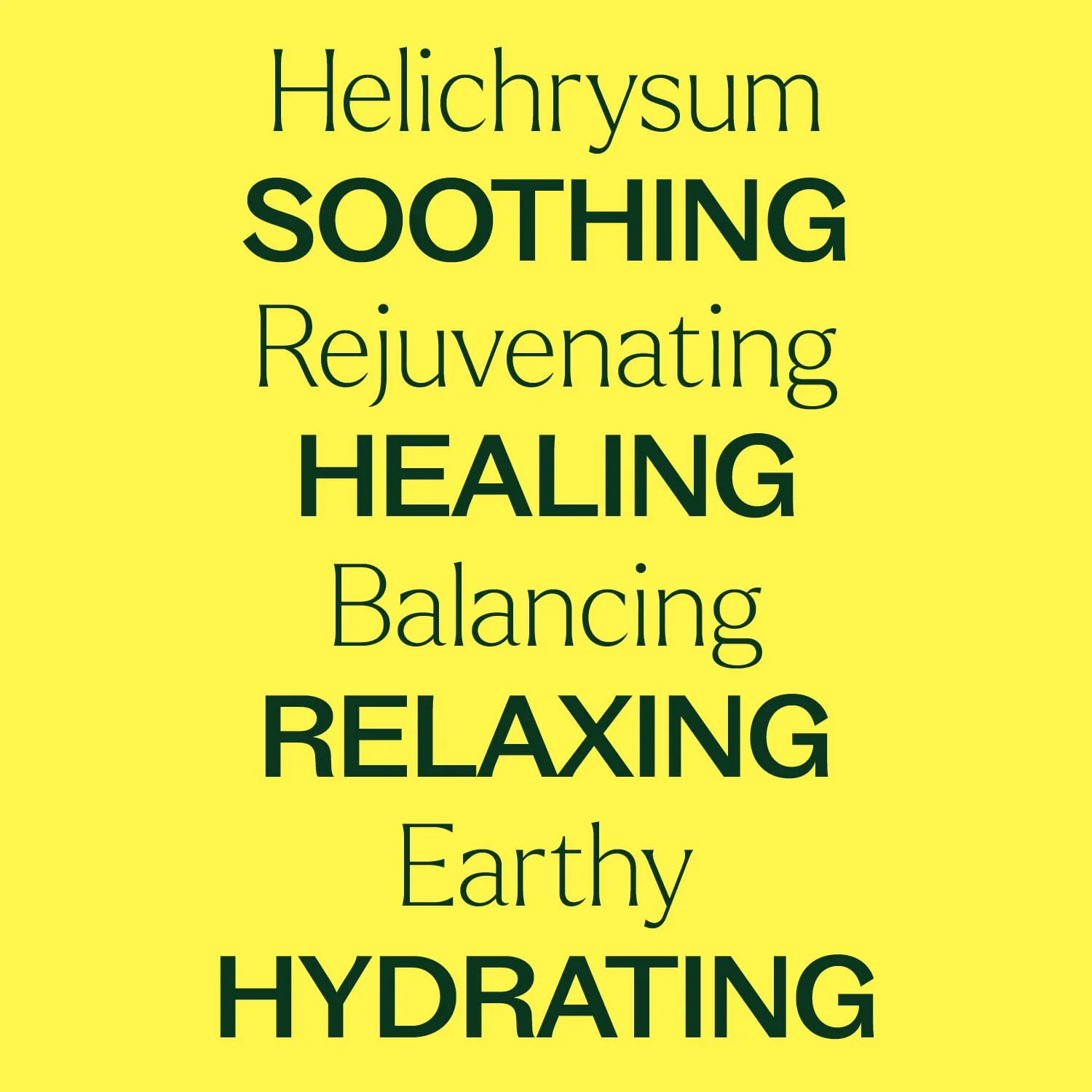 Helichrysum Hydrosol - Image 6