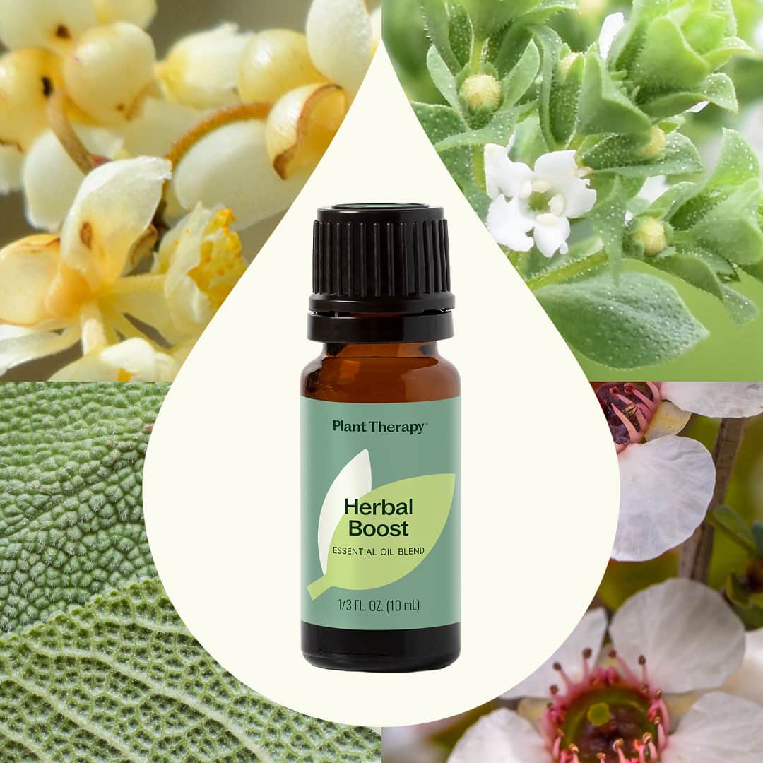 Herbal Boost Essential Oil Blend - Image 2