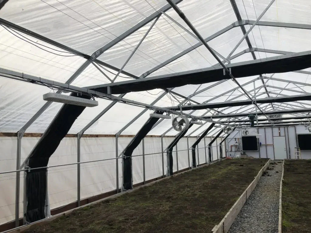 High Diffusion 6 mil Open UV Greenhouse Plastic - Image 2