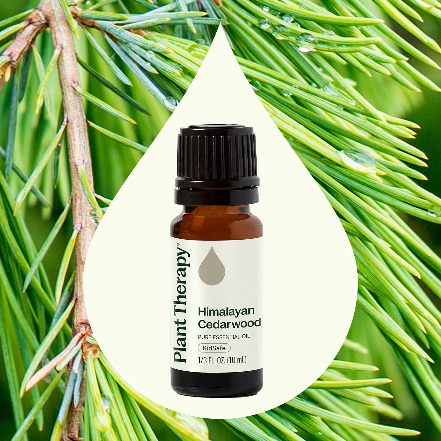 Himalayan Cedarwood Essential Oil - Image 2