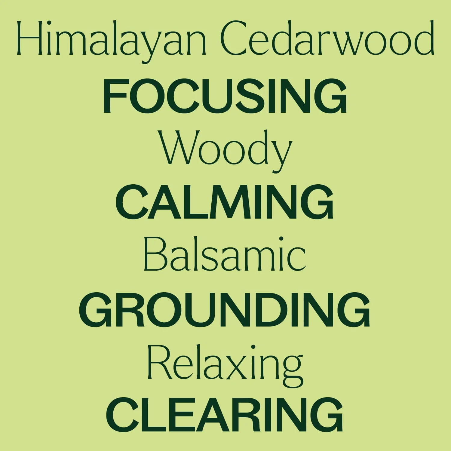 Himalayan Cedarwood Essential Oil - Image 5