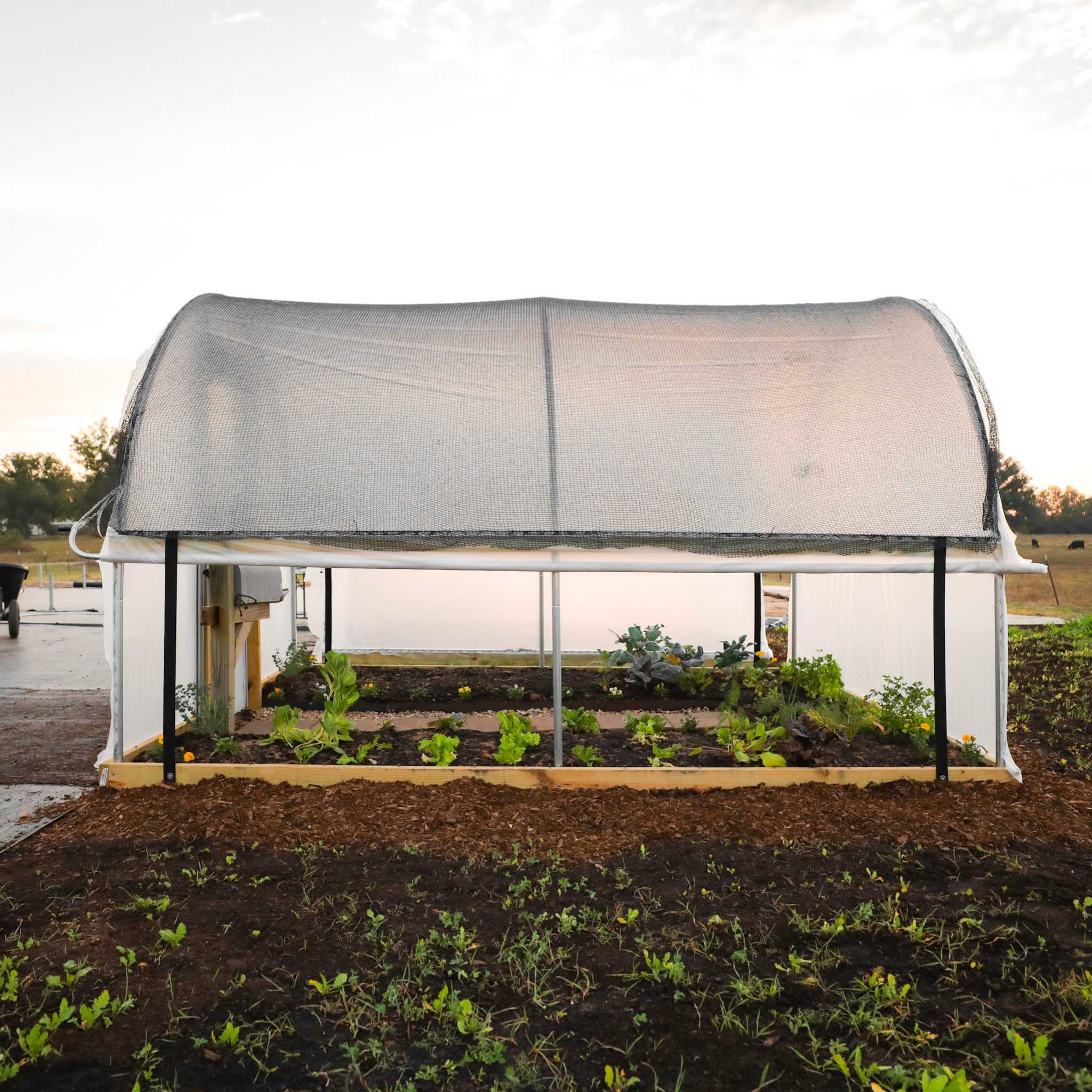 Hobby Greenhouse Kit - Image 10