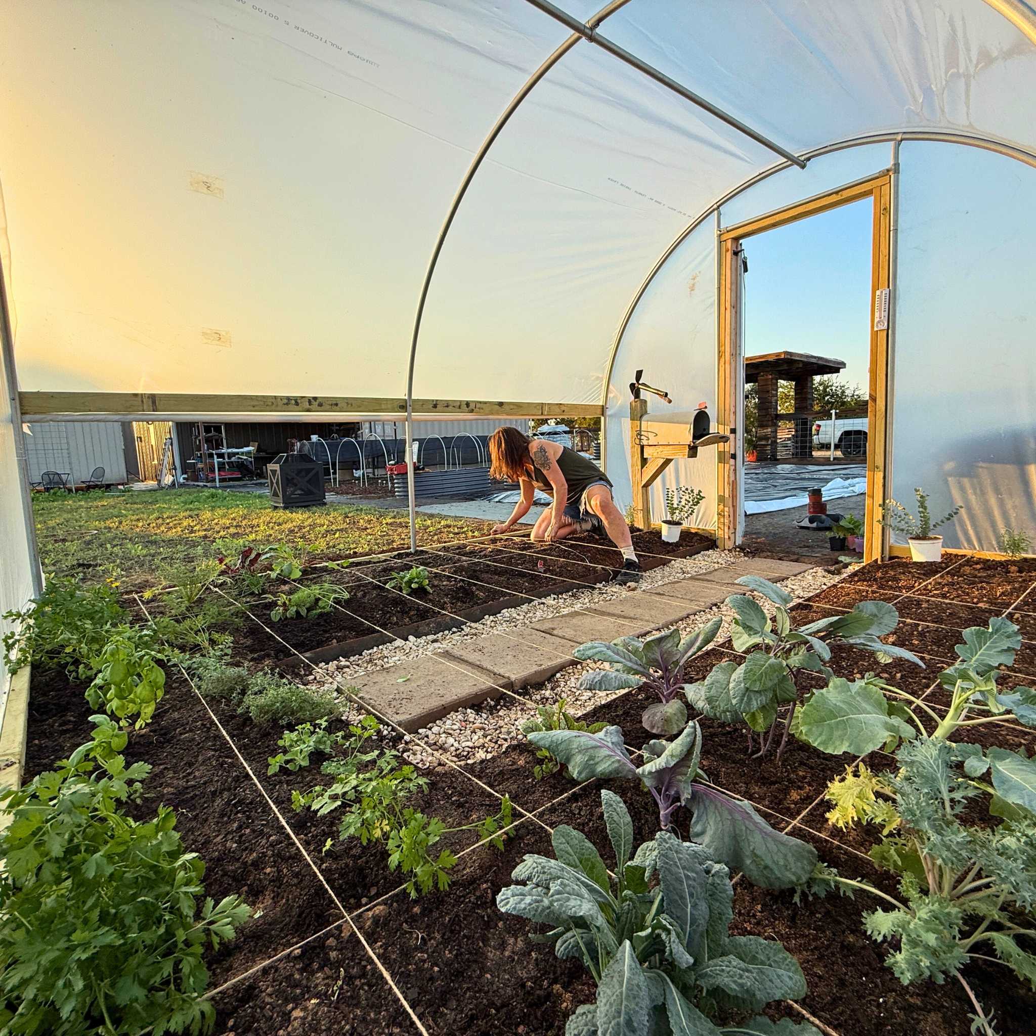 Hobby Greenhouse Kit - Image 4