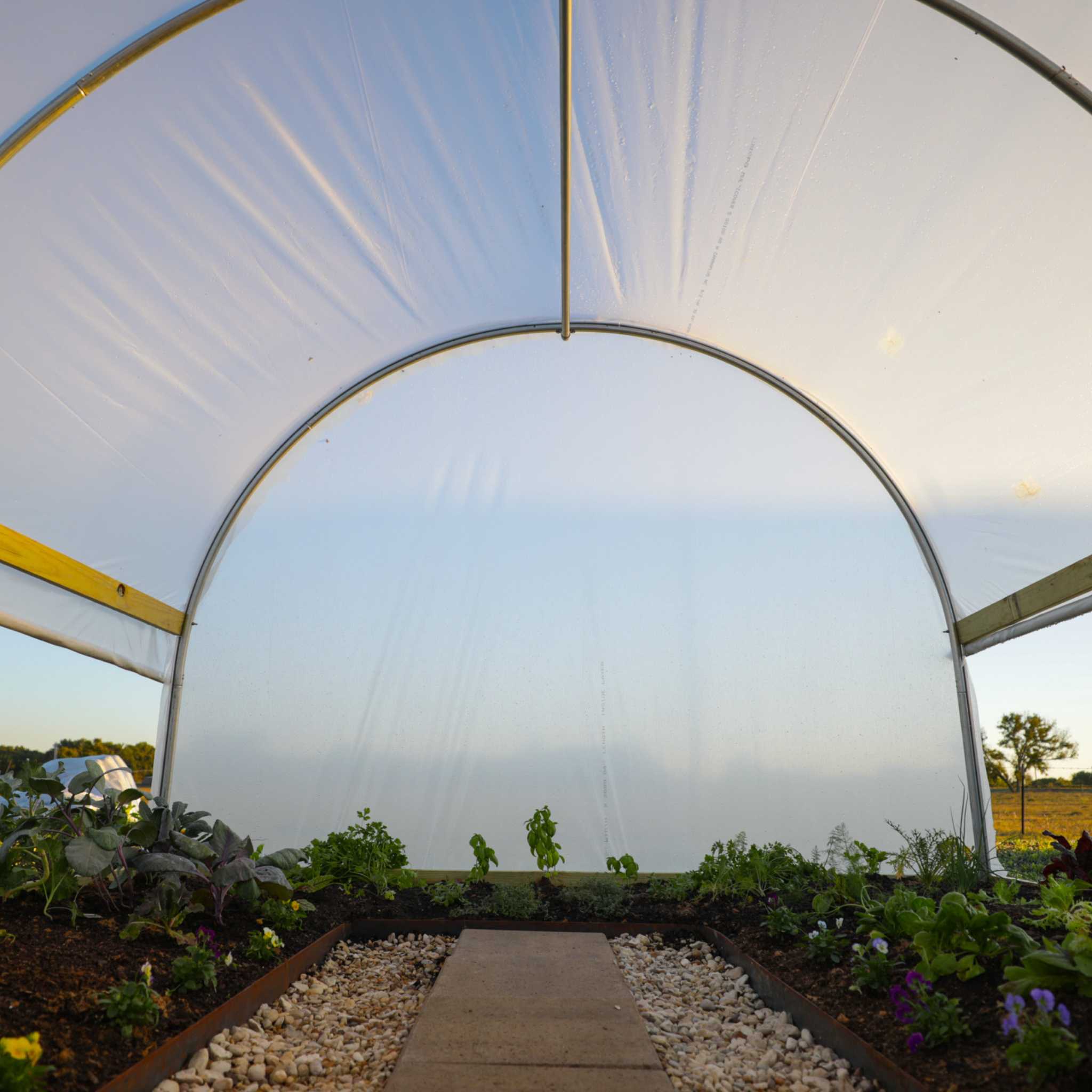 Hobby Greenhouse Kit - Image 9