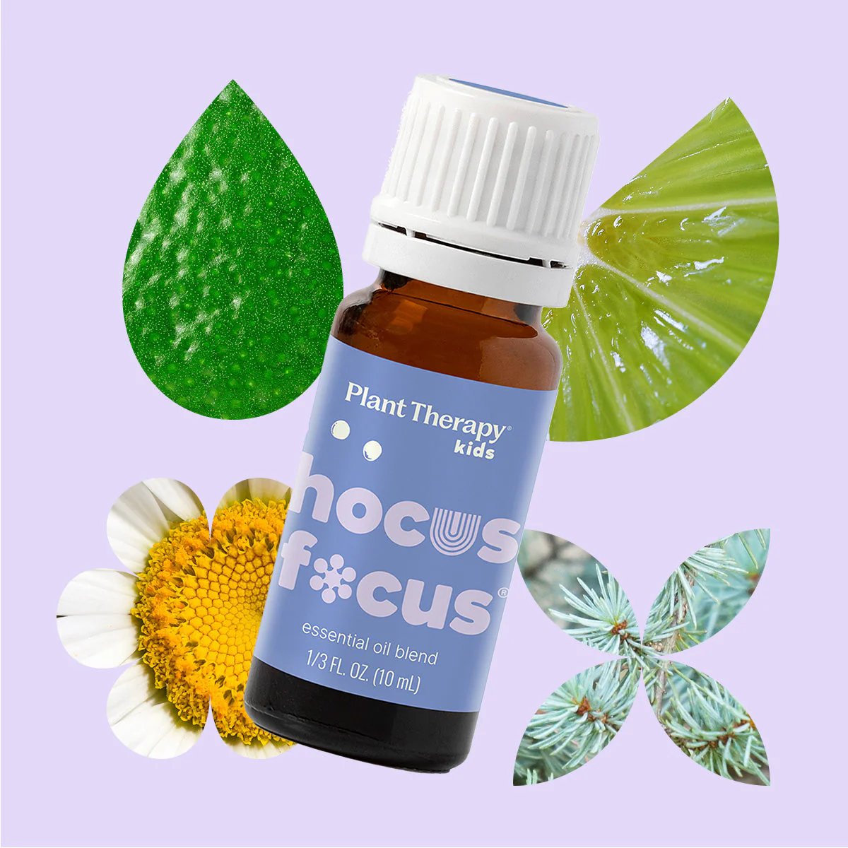 Hocus Focus Essential Oil Blend - Image 3