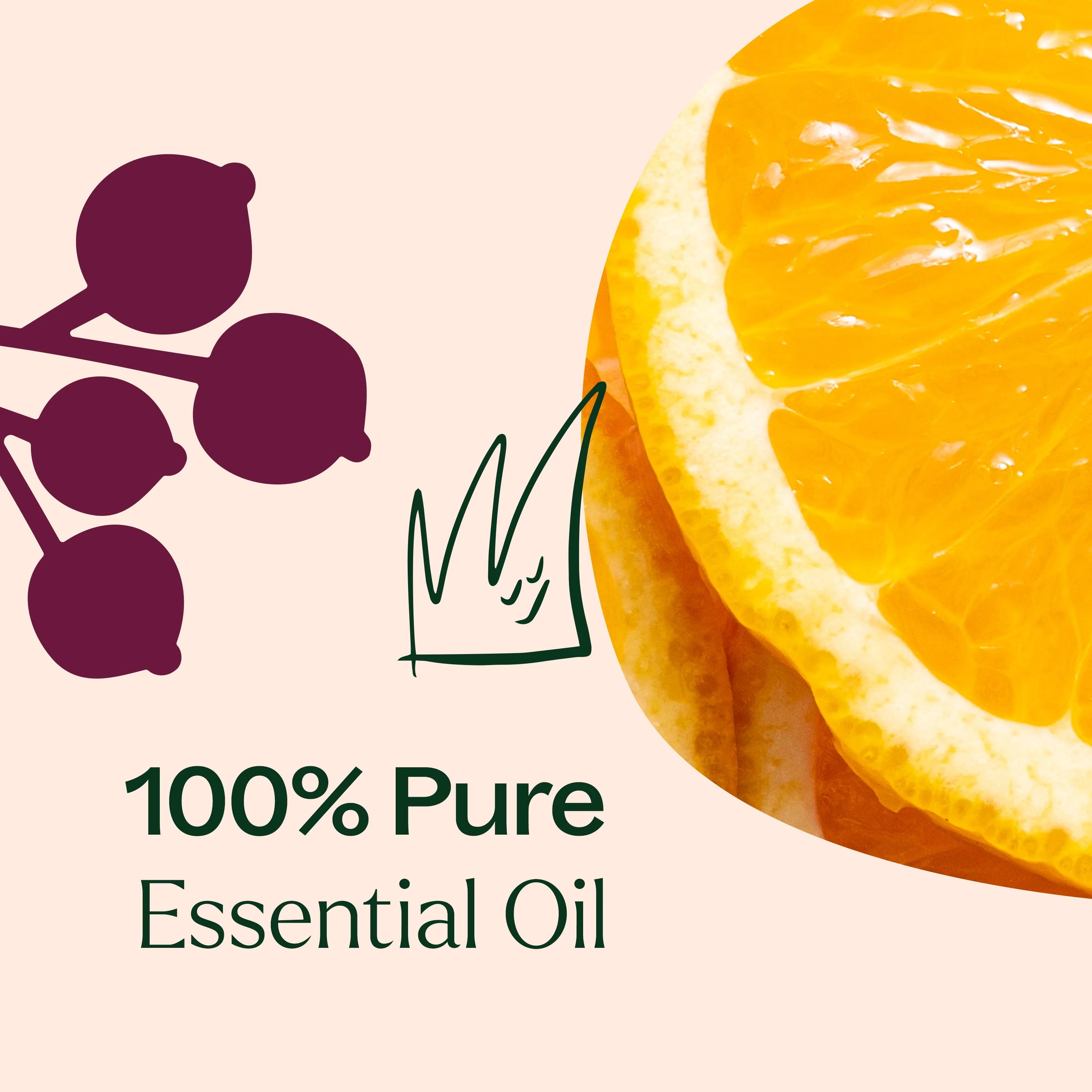 Holiday Season Essential Oil Blend - Image 7