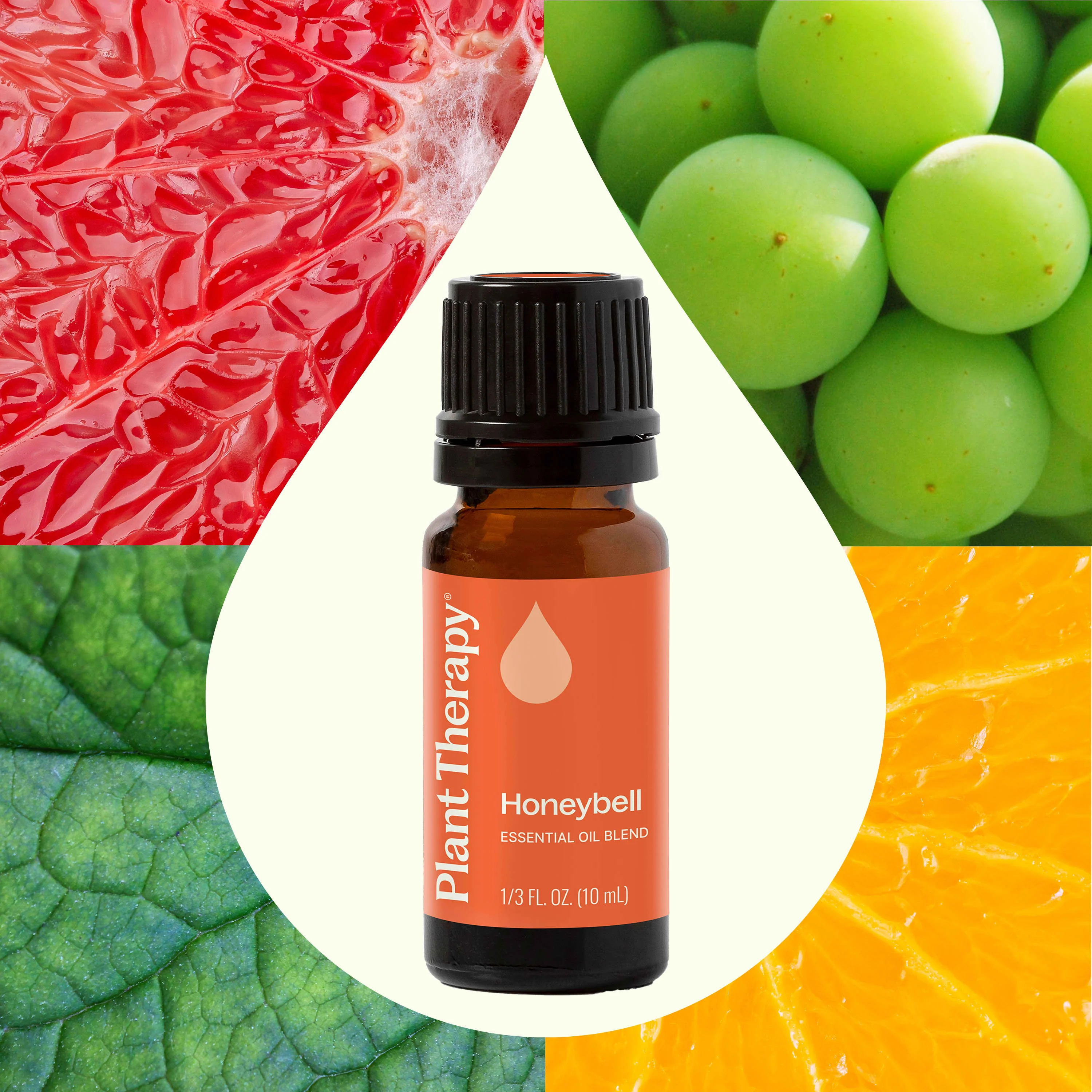 Honeybell Essential Oil Blend - Image 2