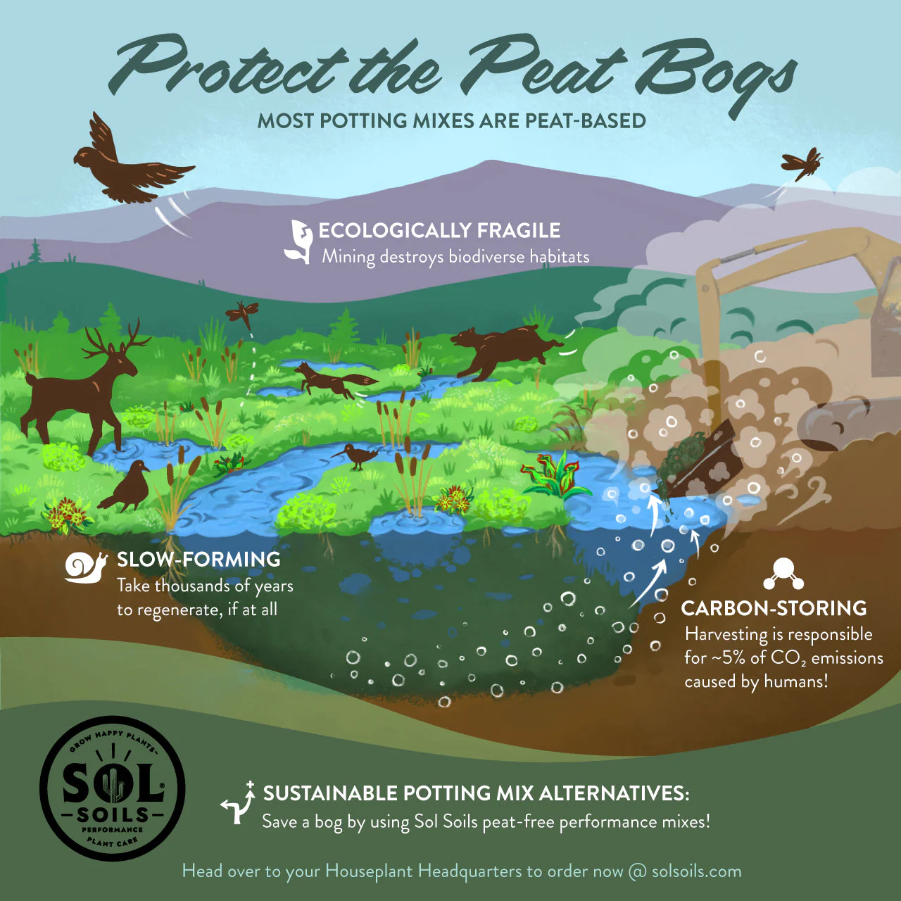 Houseplant Chunky Mix - Image 8