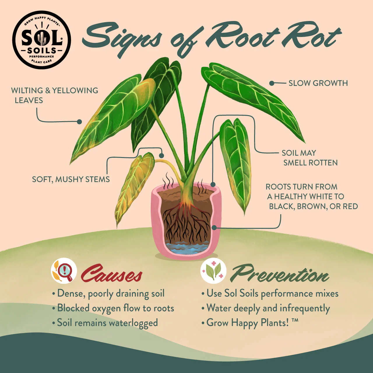 Houseplant Chunky Mix - Image 9