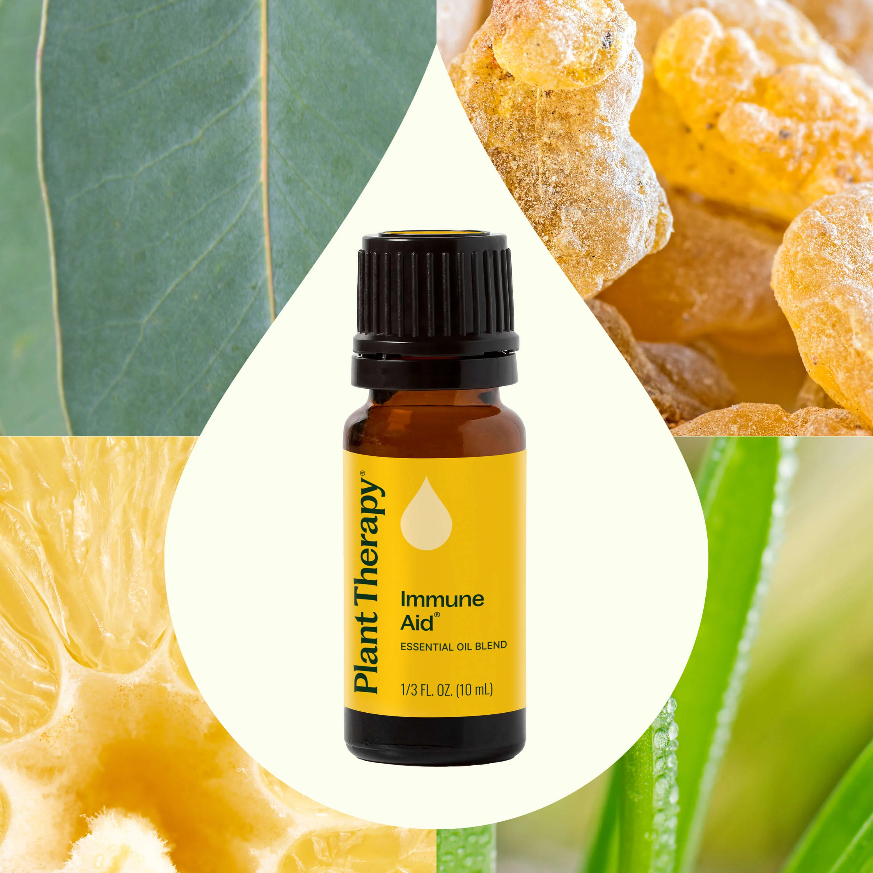 Immune Aid Essential Oil Blend - Image 2