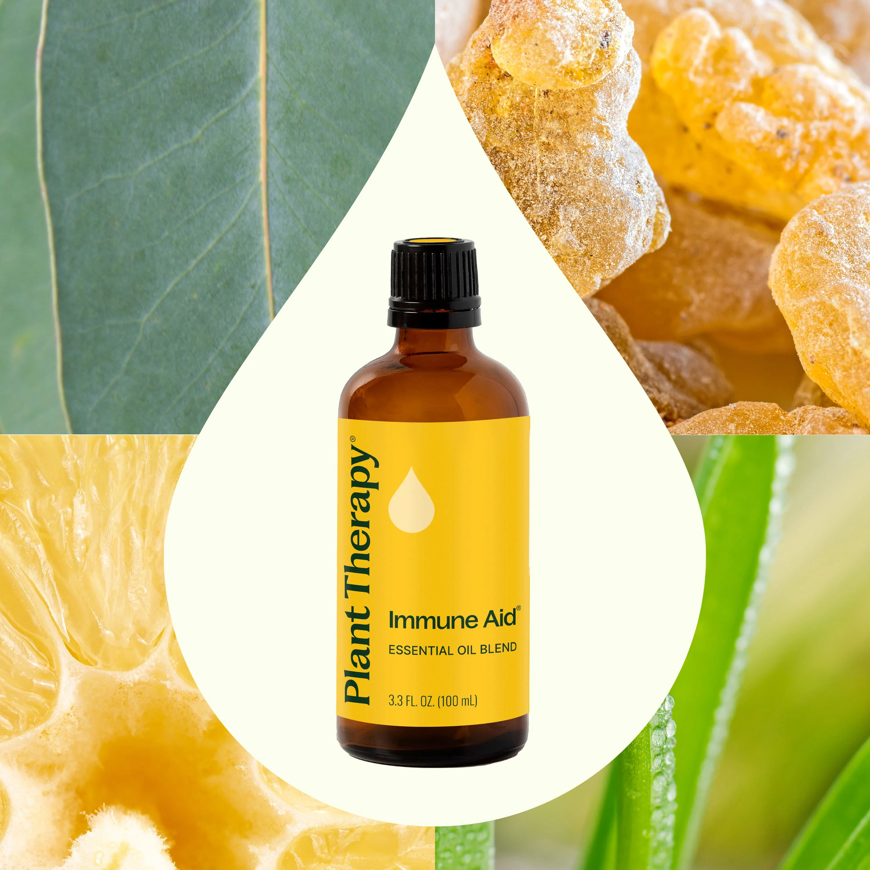 Immune Aid Essential Oil Blend - Image 3