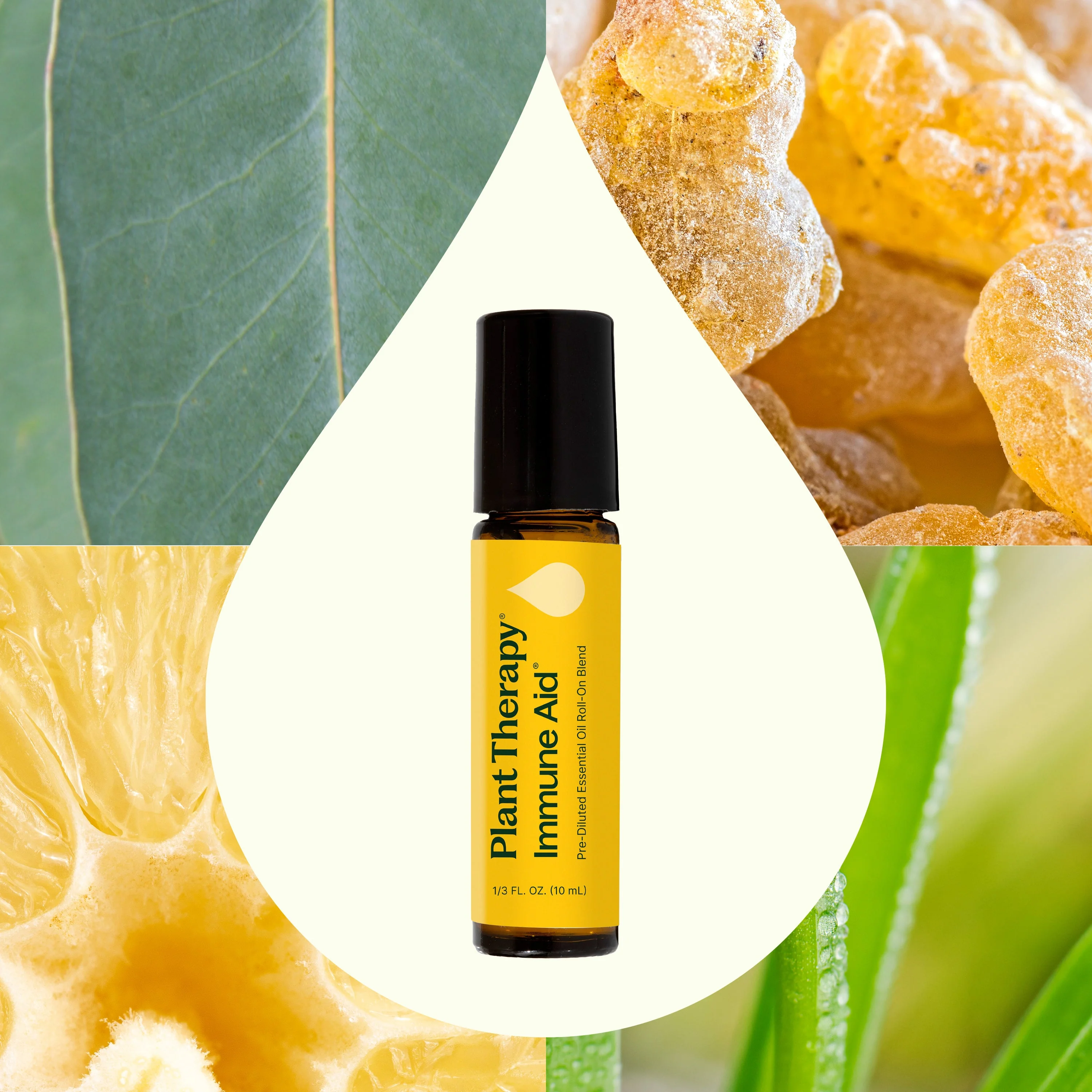 Immune Aid Essential Oil Blend Pre-Diluted Roll-On - Image 2