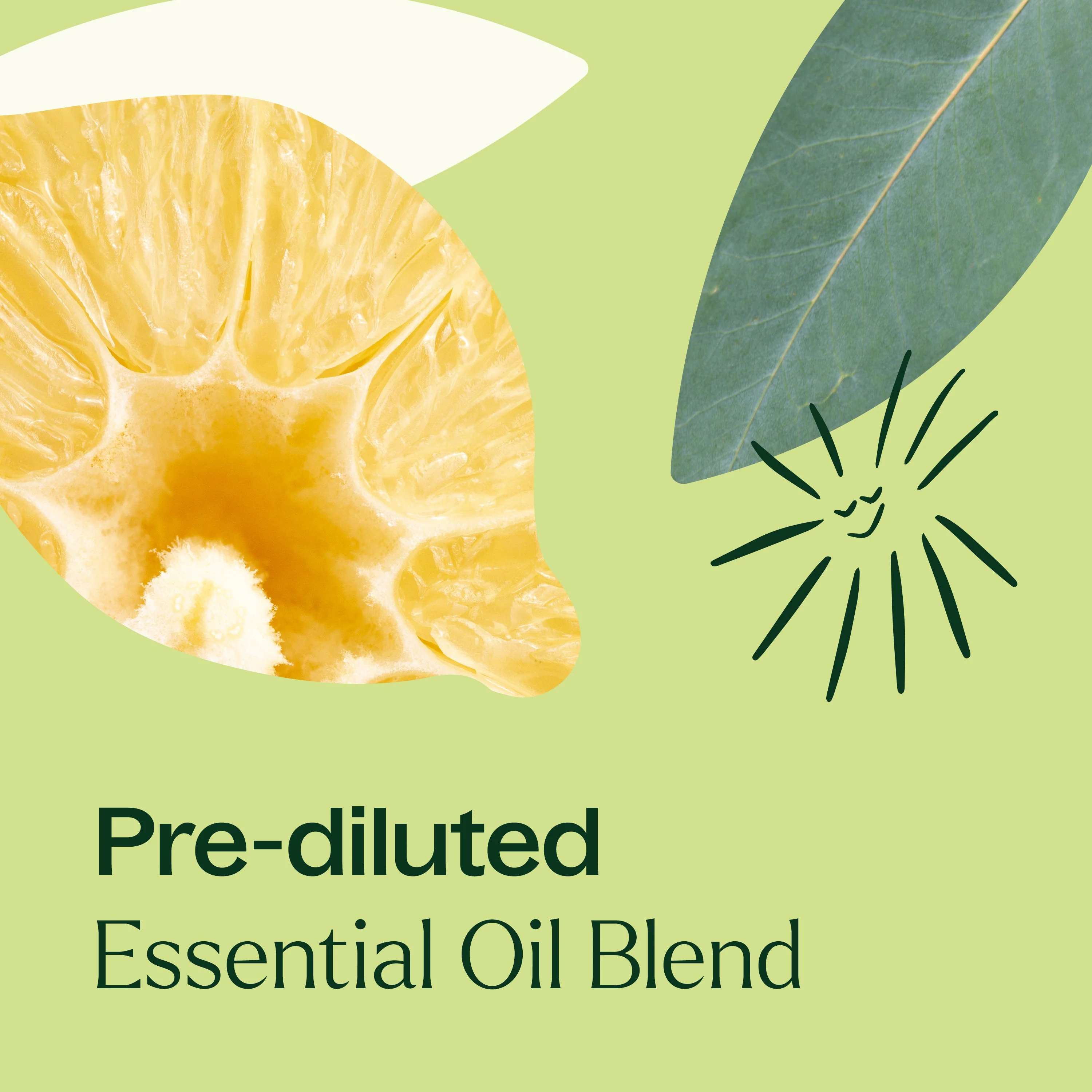 Immune Aid Essential Oil Blend Pre-Diluted Roll-On - Image 5