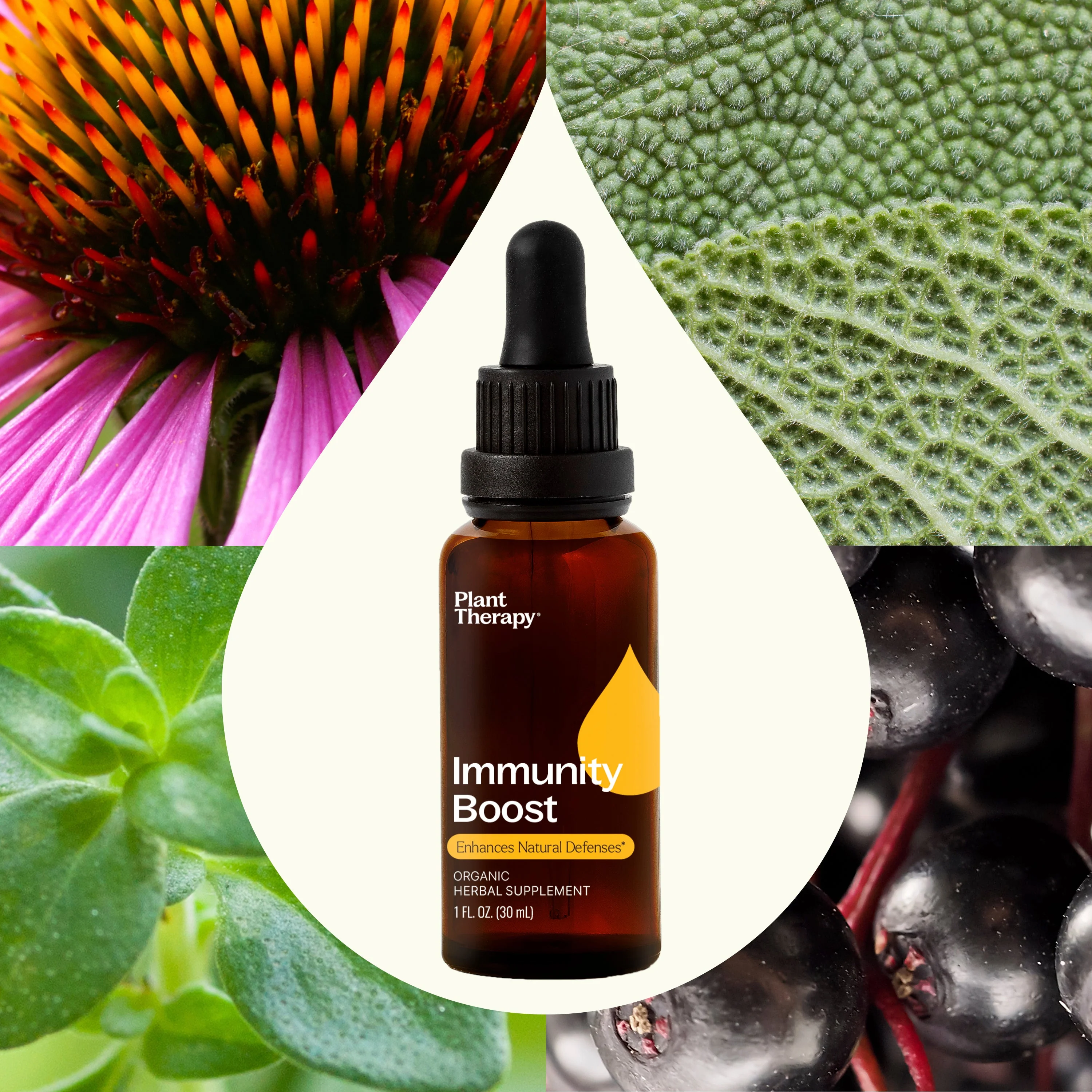 Immunity Boost Organic Herbal Supplement - Image 4