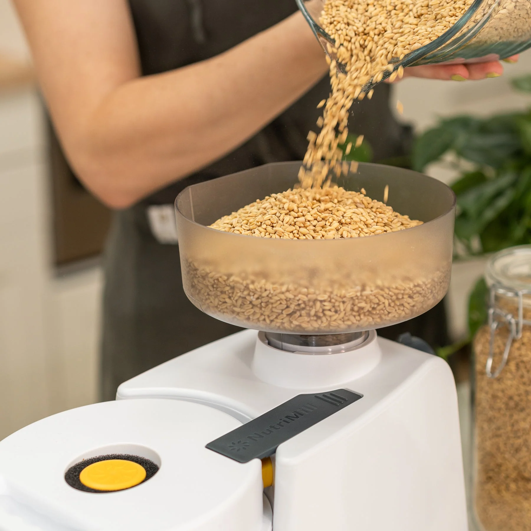 Impact Grain Mill - Image 3