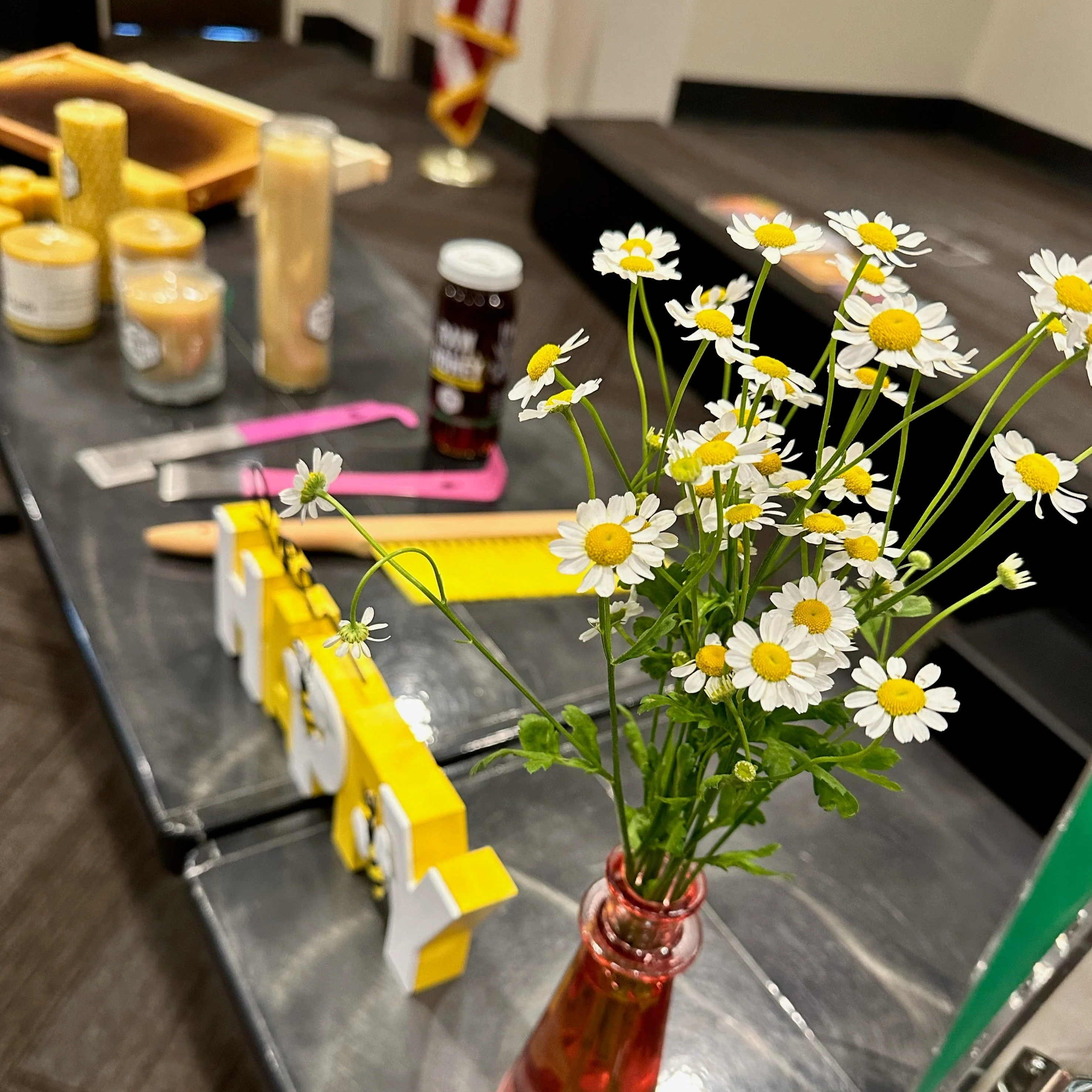 Interactive Bee Class - Image 5