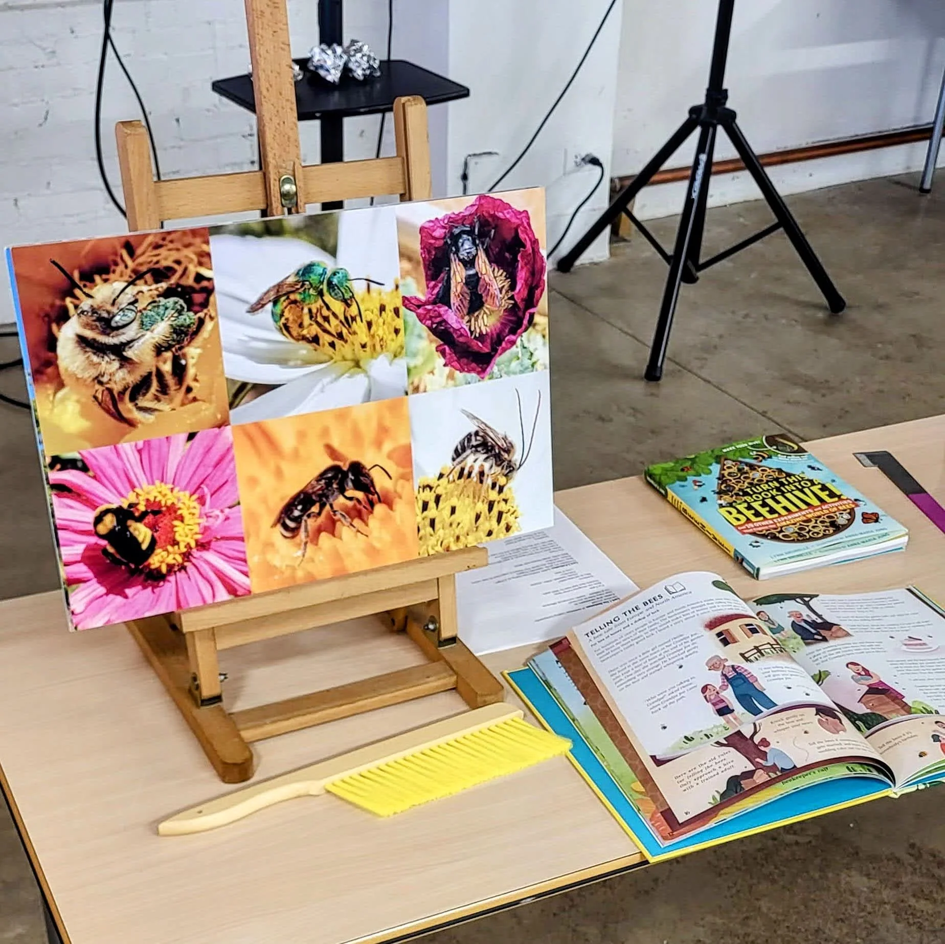 Interactive Bee Class - Image 7