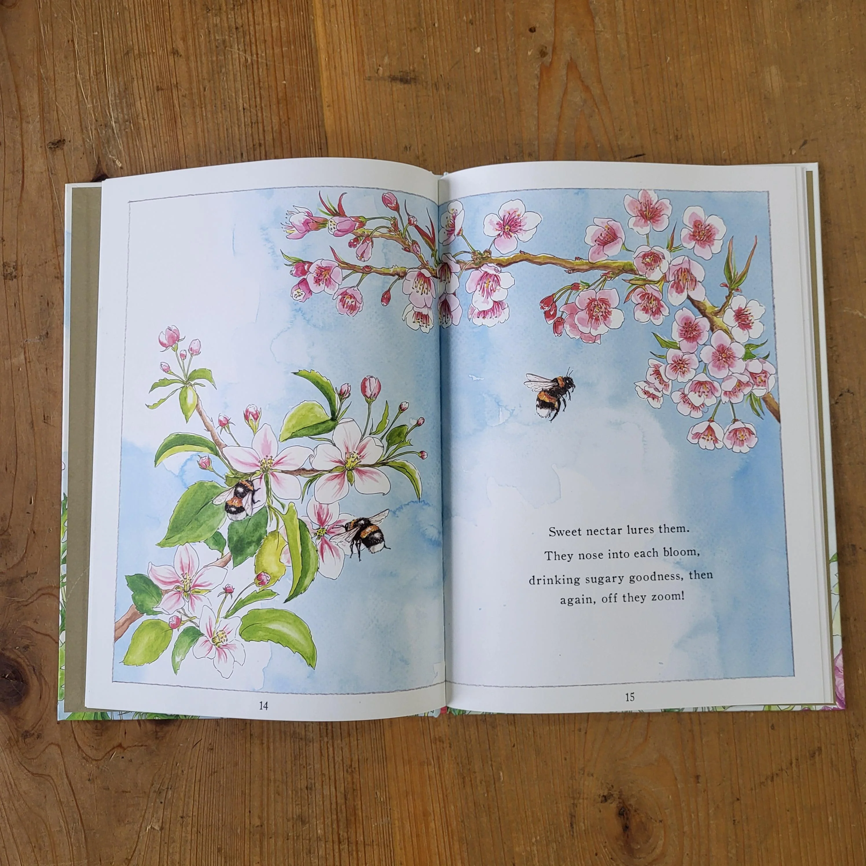 It Starts With A Bee Kids Book - Image 2